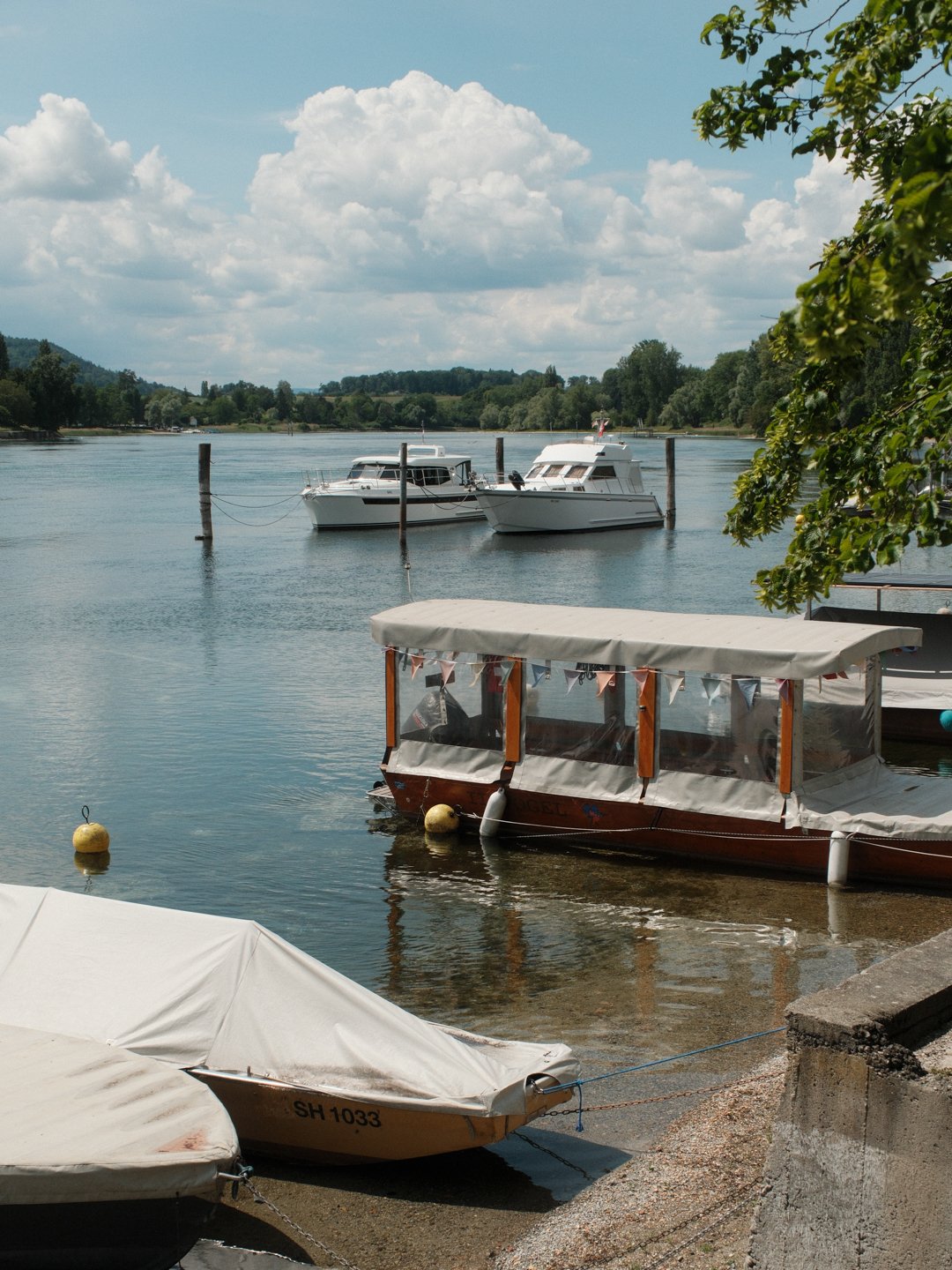 DSCF2050.jpg