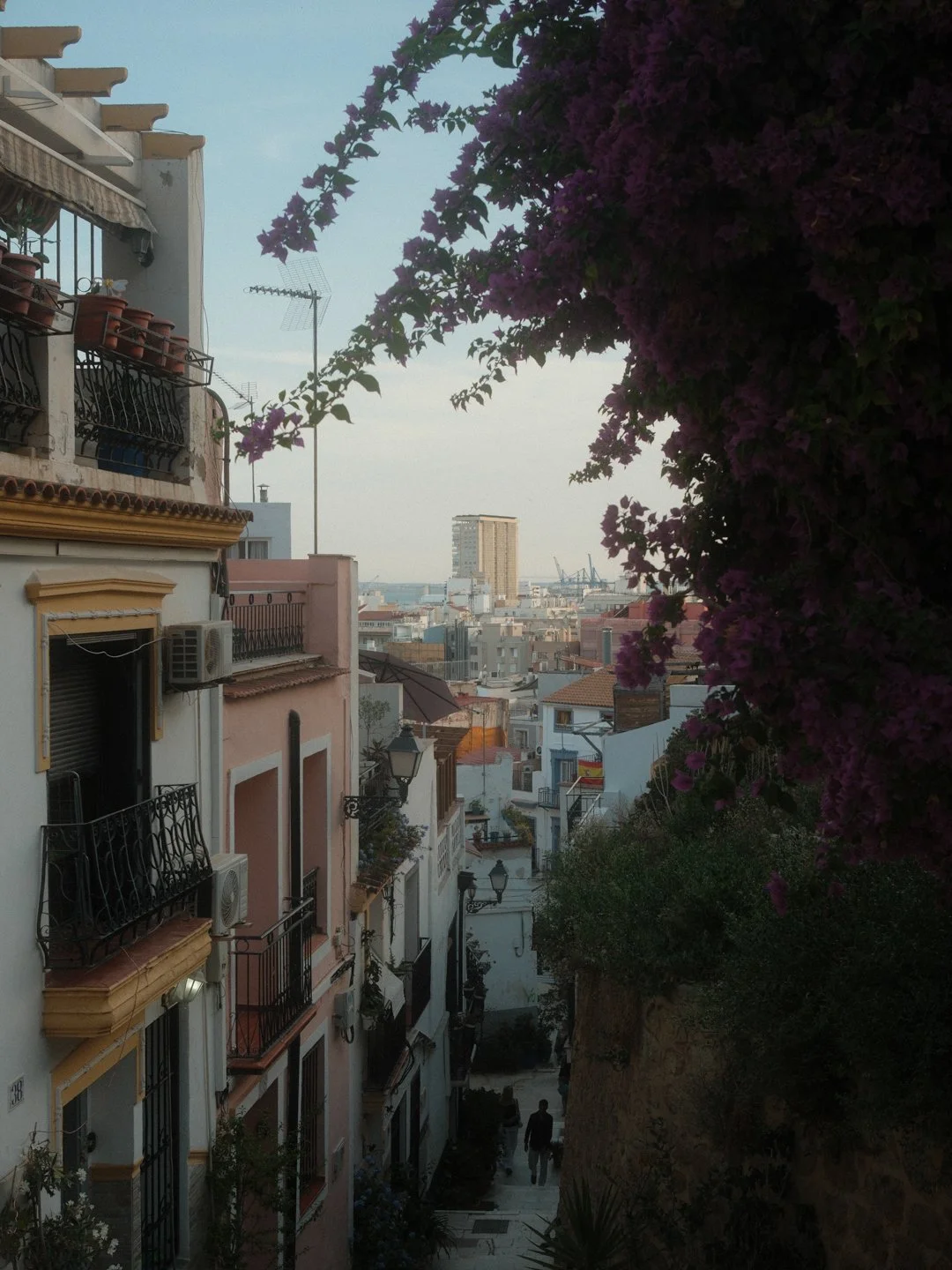 DSCF2491-2.jpg