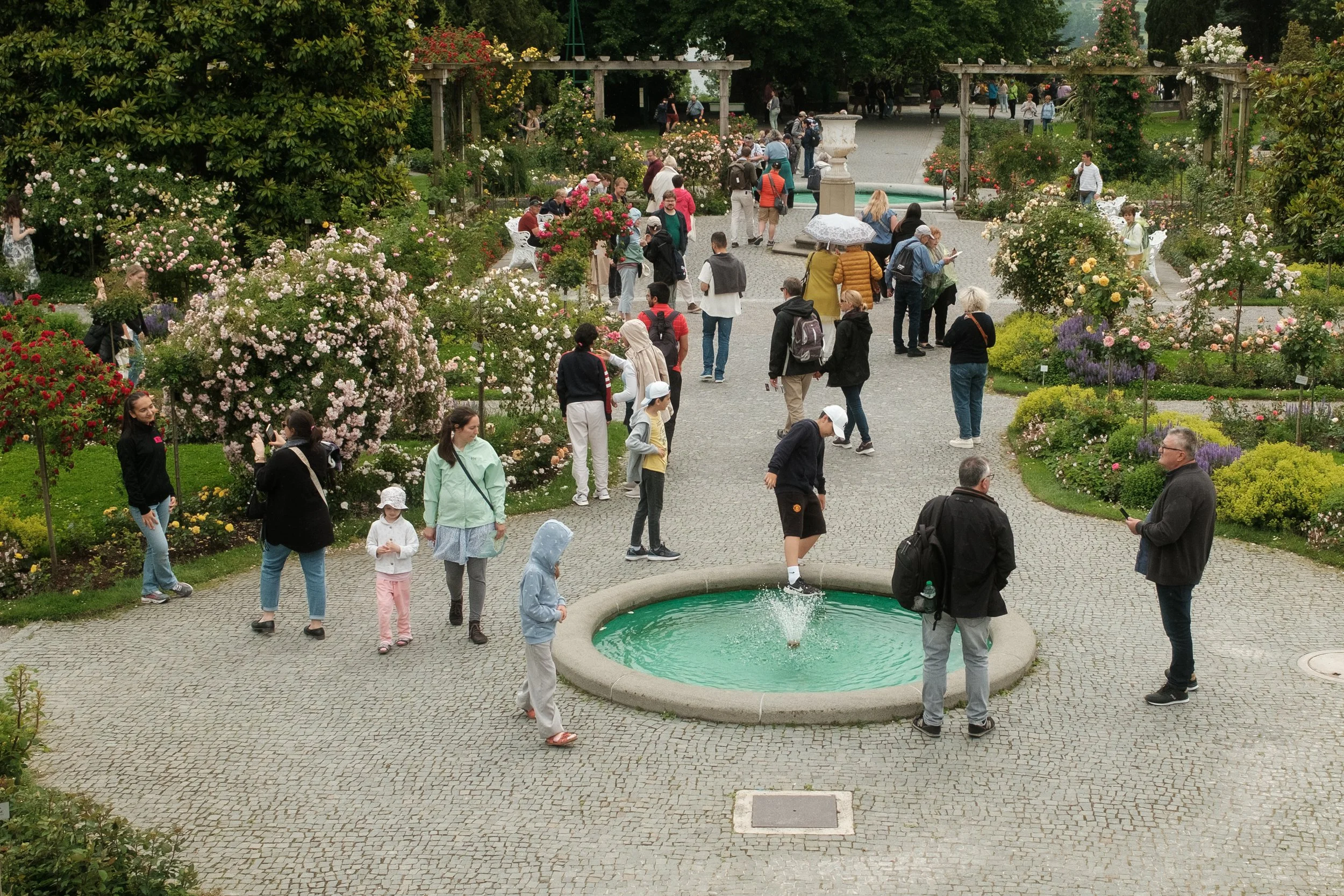 DSCF3865.jpg