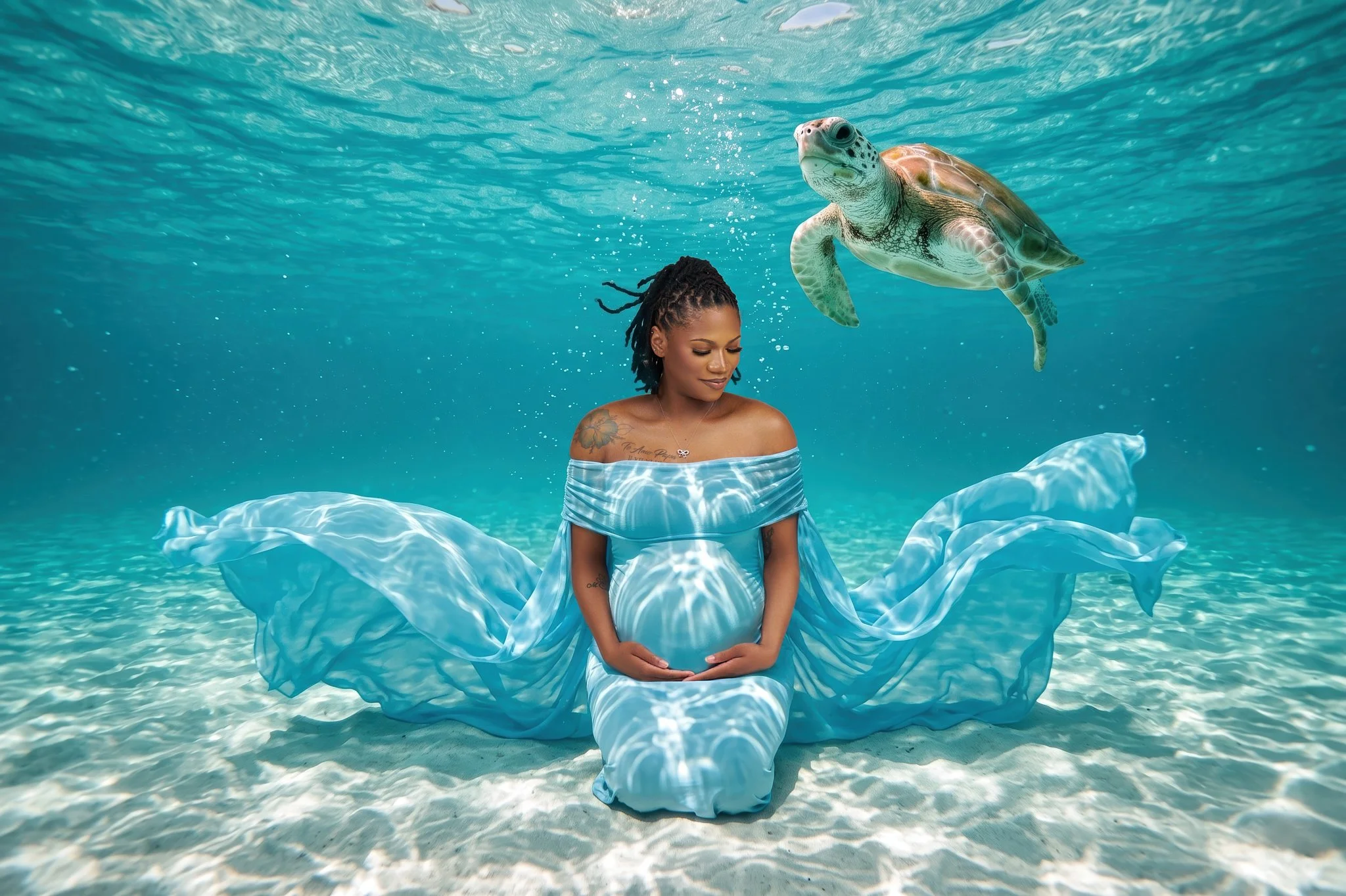 WEB_361Ty Sea Turtle_v2.jpg