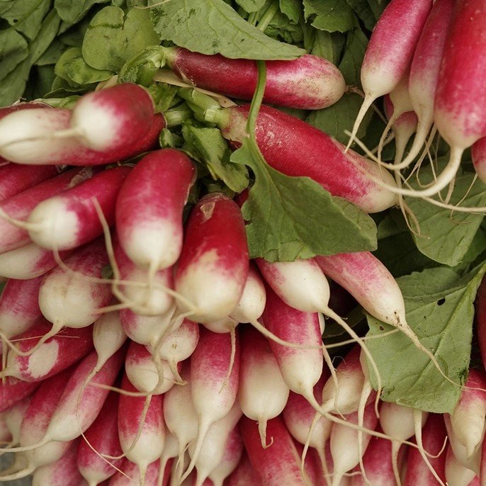 veg 3.jpg