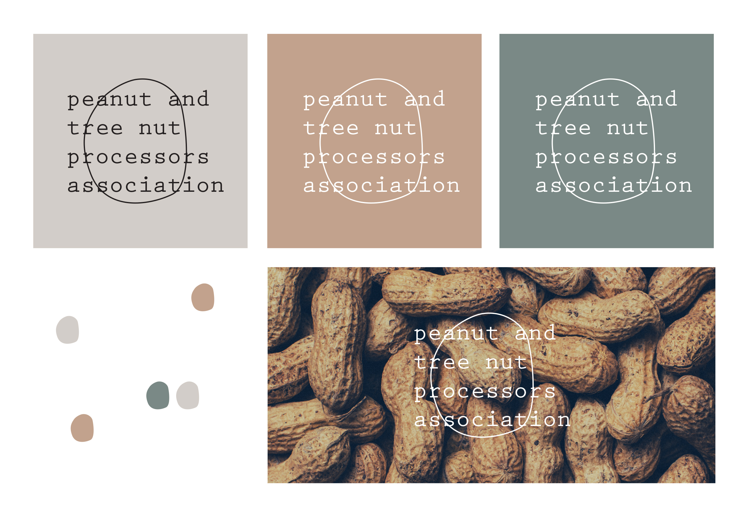  ▲ A minimalistic logo proposal for the association of peanut and tree nut in Washington D.C. 
