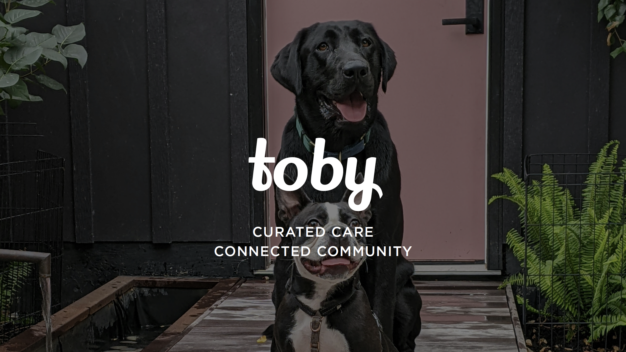  ▲Logo for a lifestyle-driven pet brand. 