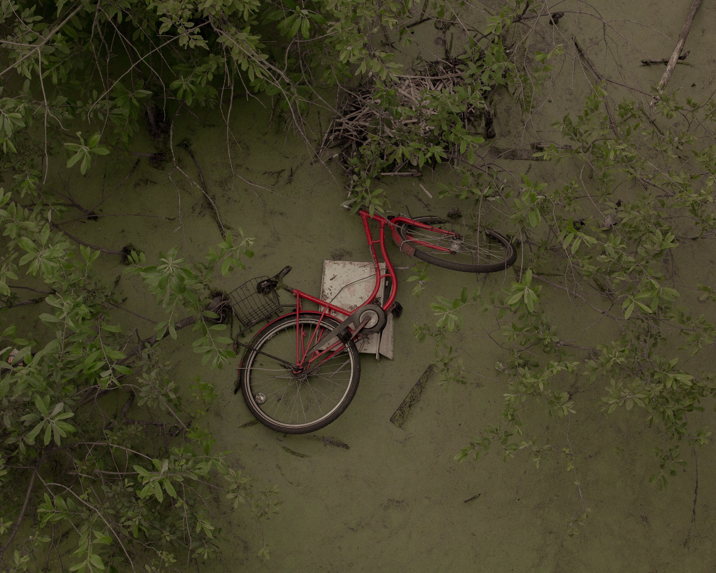 Ein rotes Fahrrad liegt im Wasser, umgeben von grünen Wasserpflanzen und Zweigen, mit einem weißen Gegenstand unterhalb des Fahrrads.