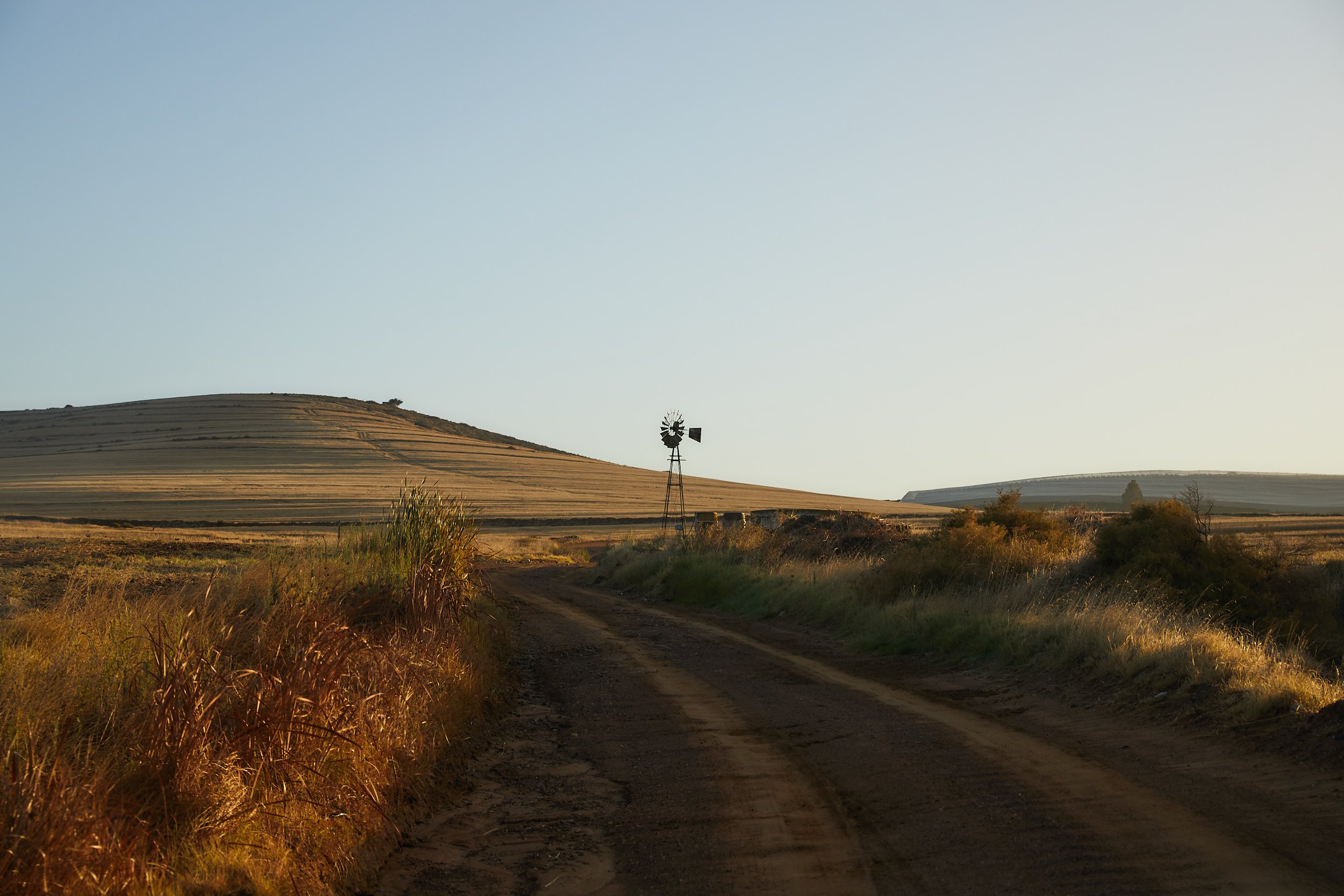 Ländliche Natur mit Dirt Road, Windmühle und Hügel im Abendlicht.