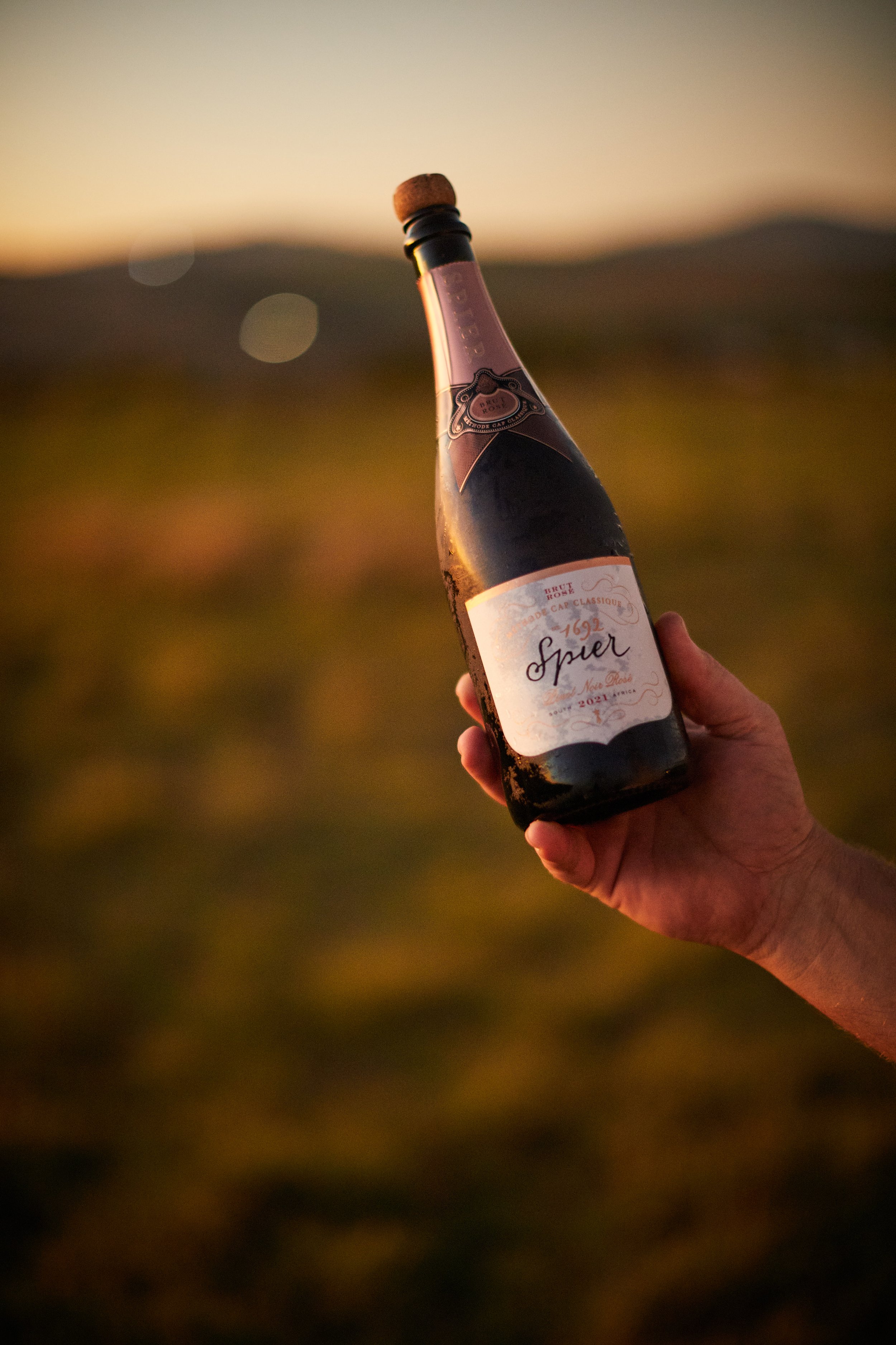Eine Hand hält eine Flasche Sekt im Freien bei Sonnenuntergang, im Hintergrund sind Hügel und ein warmes, goldenes Licht.