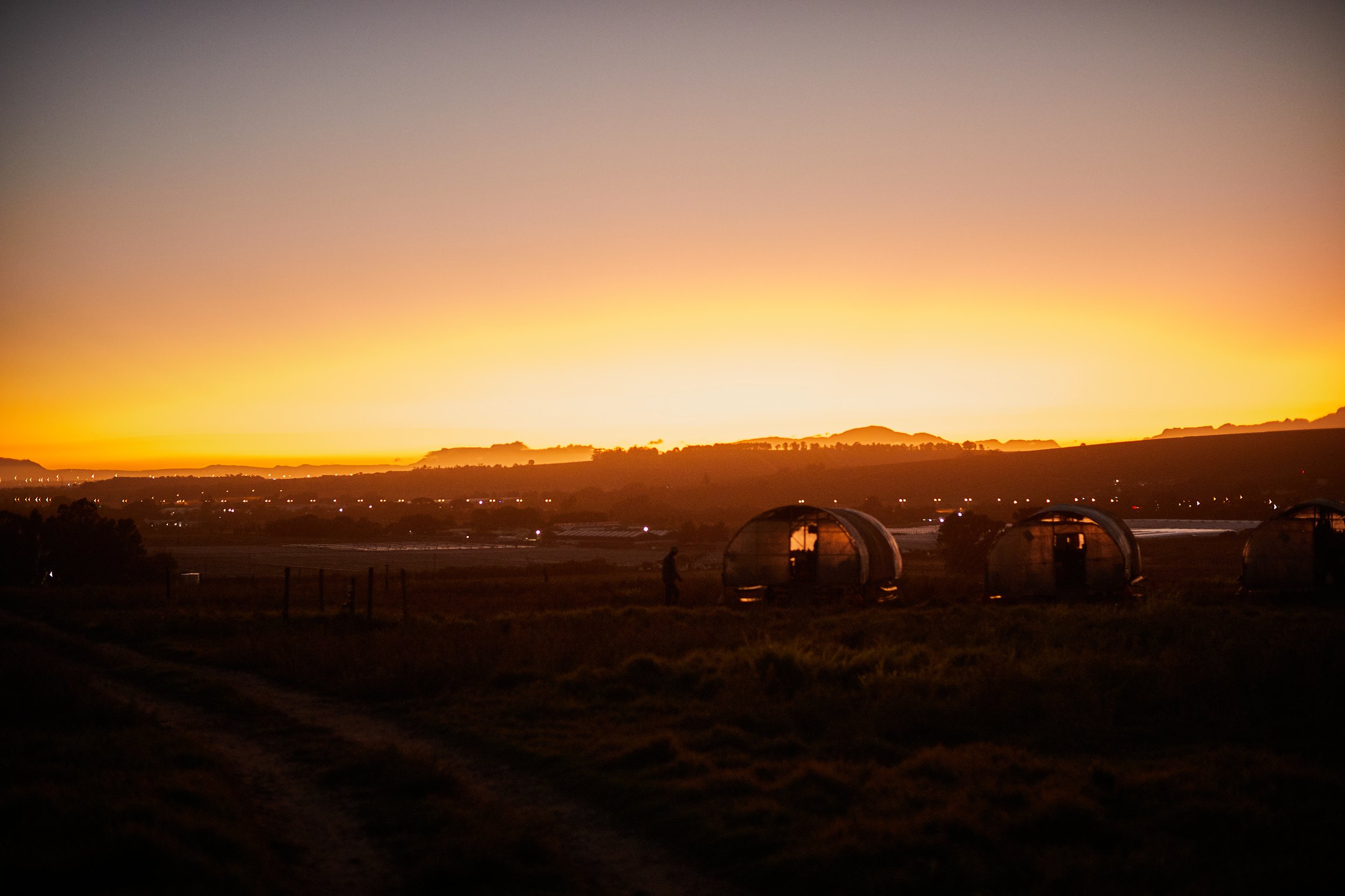 Sonnenuntergang über einem ländlichen Feld mit drei kleinen, transparenten Cabins und einer einzelnen Person, die den Himmel betrachtet.