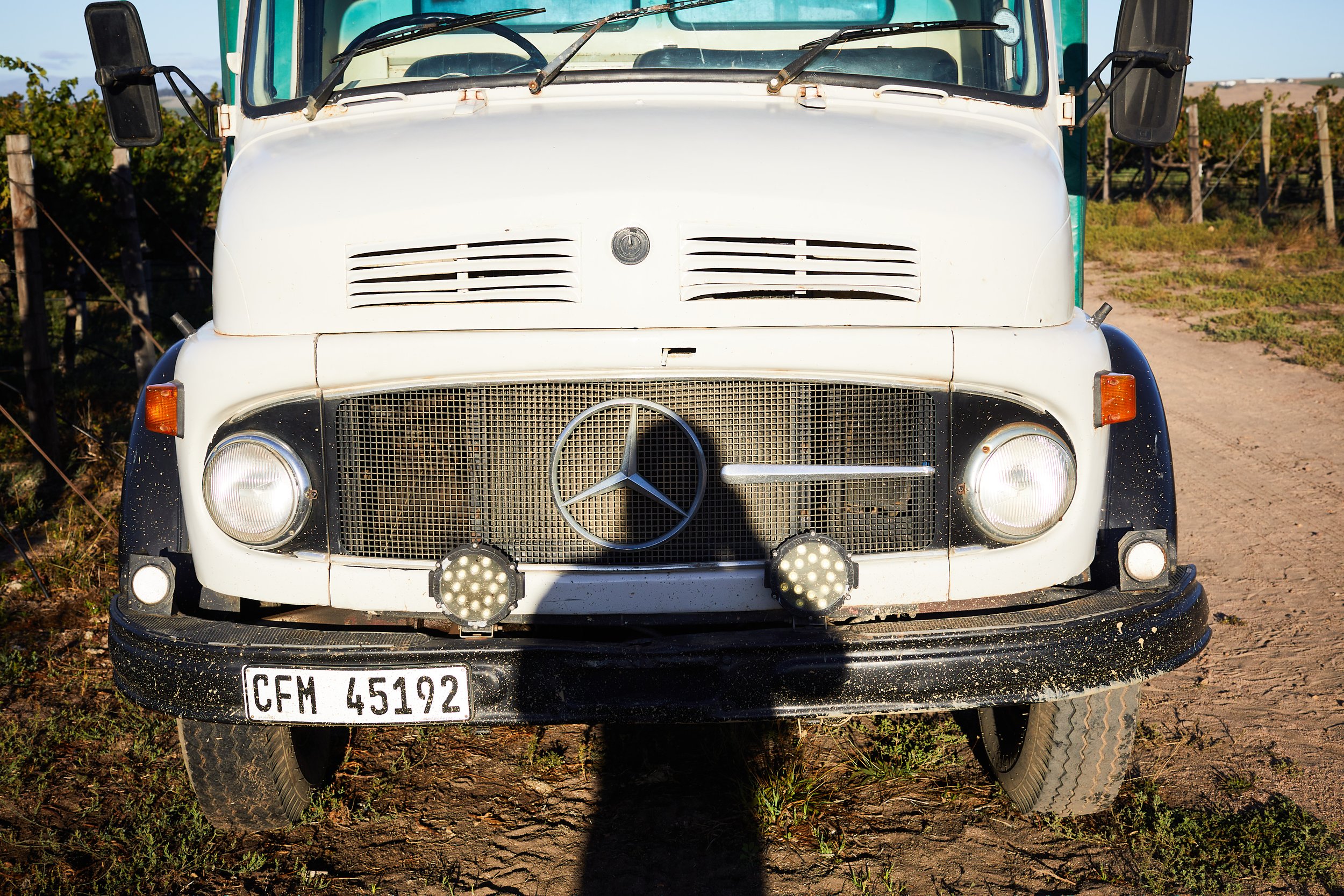 Frontview eines alten weißen Mercedes-Benz Trabis auf einer unbefestigten Straße, mit zusätzlichen Scheinwerfern und einem Mercedes-Logo auf der Kühlerhaube, umgeben von Weinreben im Hintergrund.