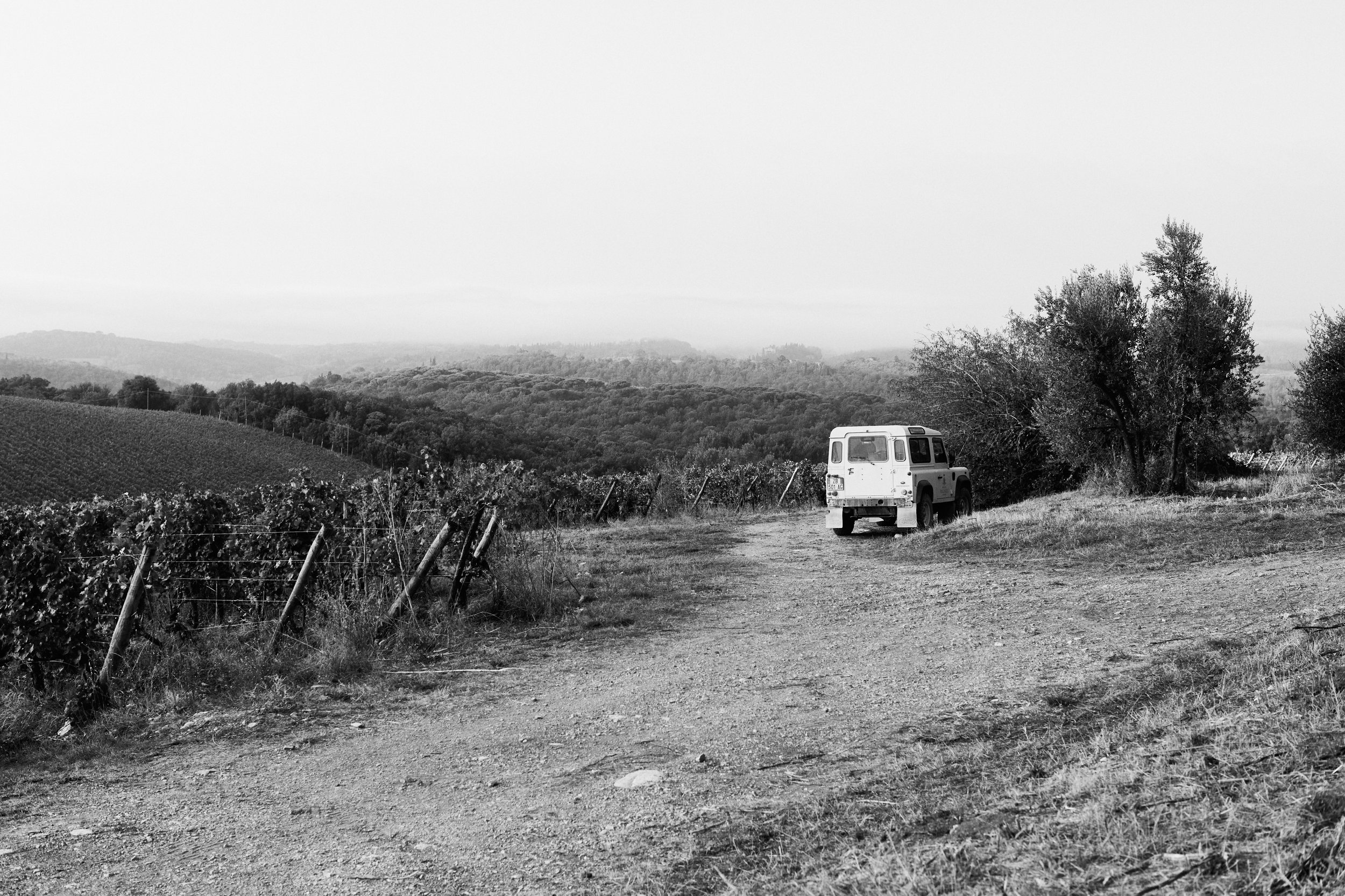 Schwarz-Weiß-Foto eines ländlichen Weinbergs mit einem alten weißen Land Rover auf einem Kiesweg, umgeben von Weinreben und Bäumen, mit Hügeln im Hintergrund.