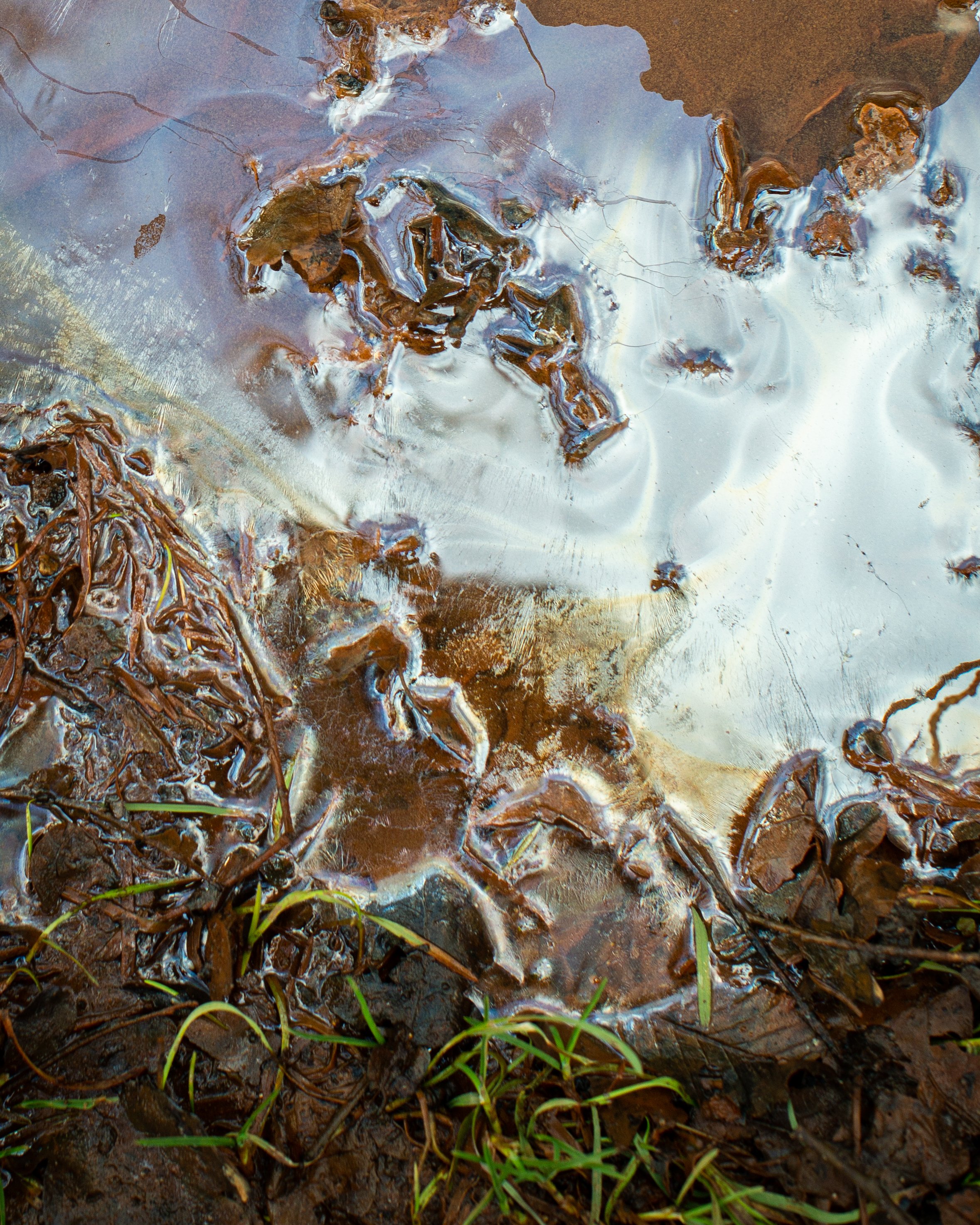 Nahaufnahme von Regenwasser auf Erde mit feuchtem, braunem Laub, kleinen Grasbüscheln und Sand, die im Wasser spiegeln.