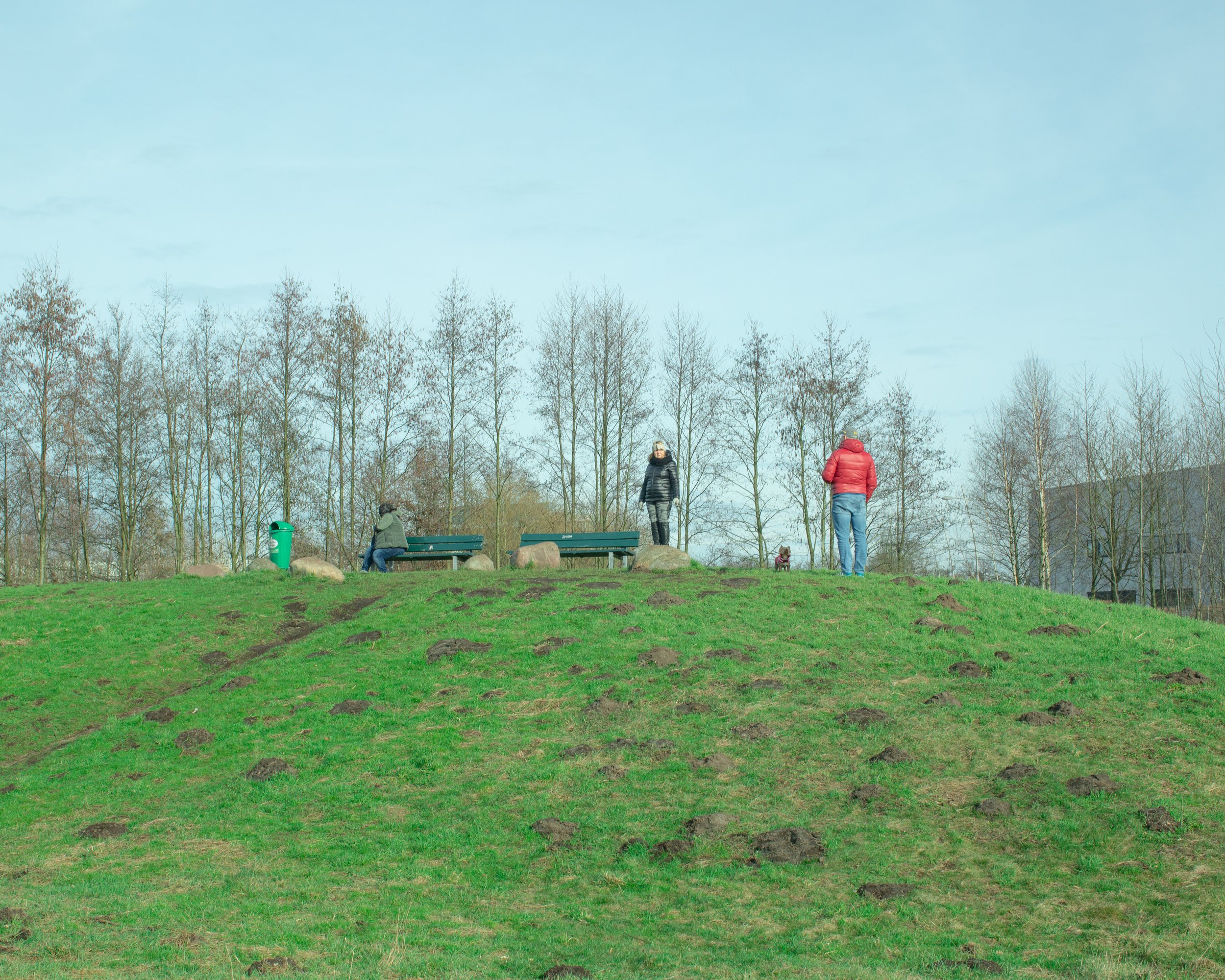 Drei Menschen auf einer grasbewachsenen, kleinen Anhöhe in einem Park im Dezember, während es regnet, mit Bäumen im Hintergrund.