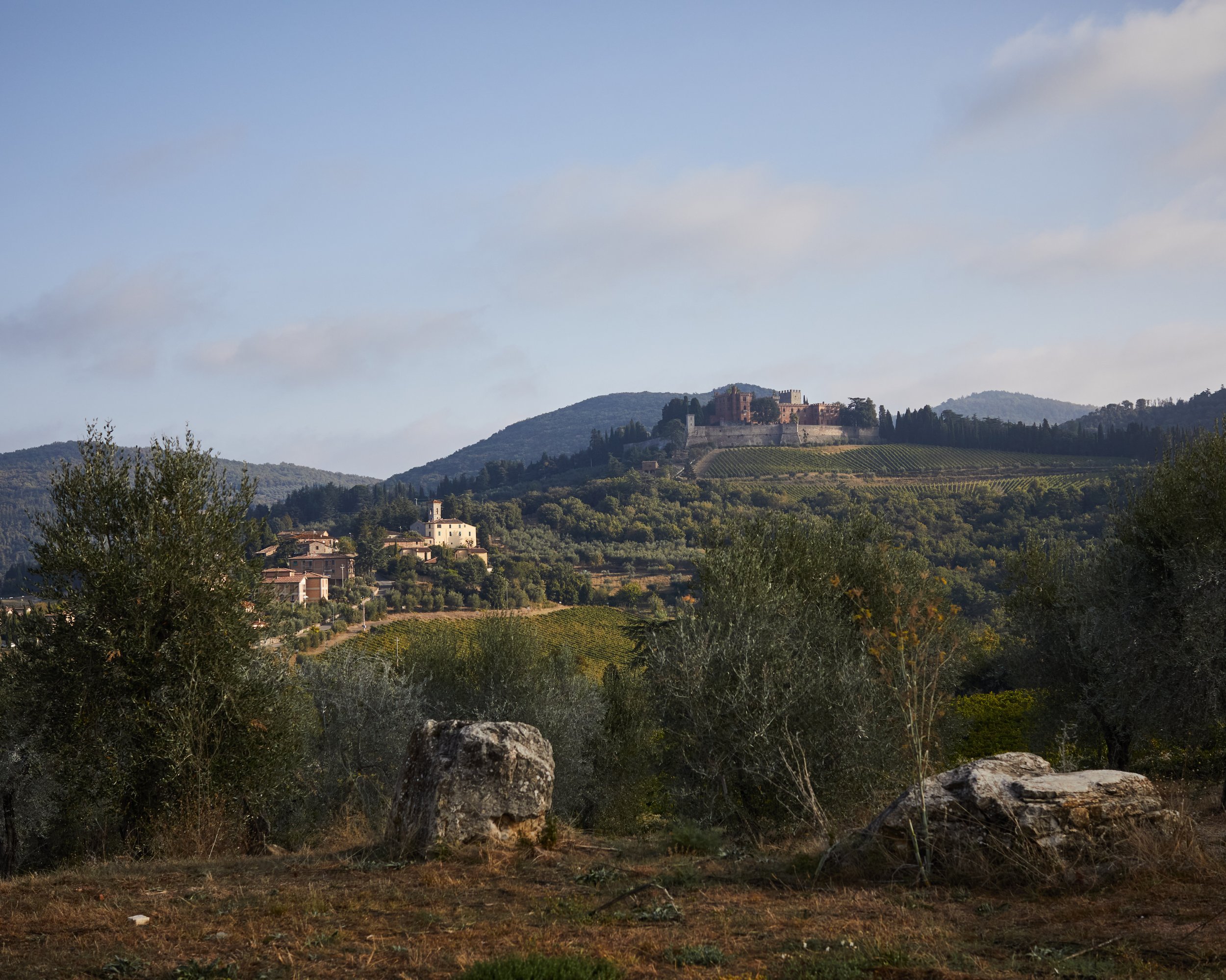 Landschaft mit Hügeln, einem Schloss oben auf dem Hügel, Weingärten und Bäumen im Vordergrund, bewölkter Himmel.