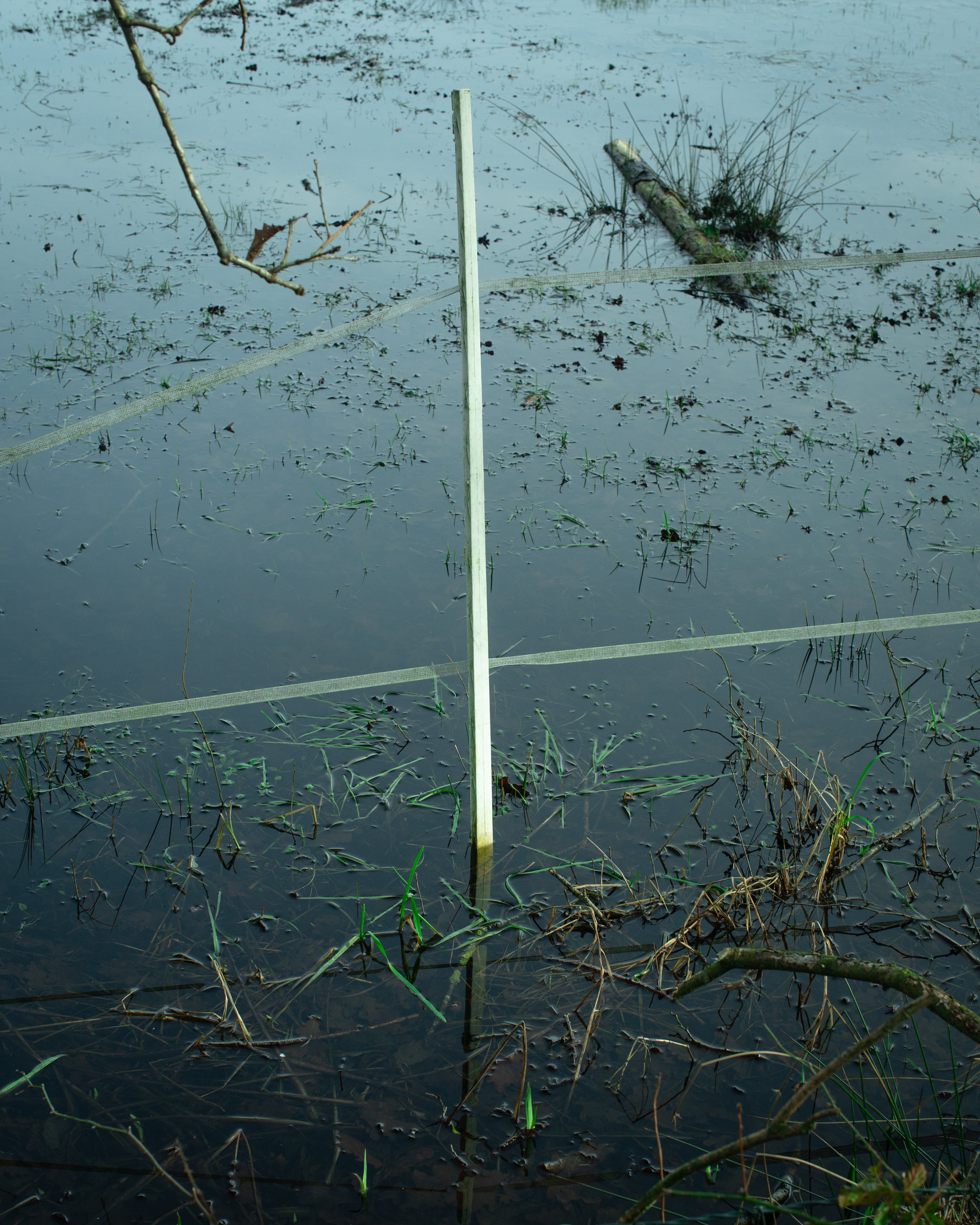 gefährliche Überschwemmung mit Wasser, Schlamm, vertrockneten Pflanzen und Baumstämmen, teilweise eingestaut