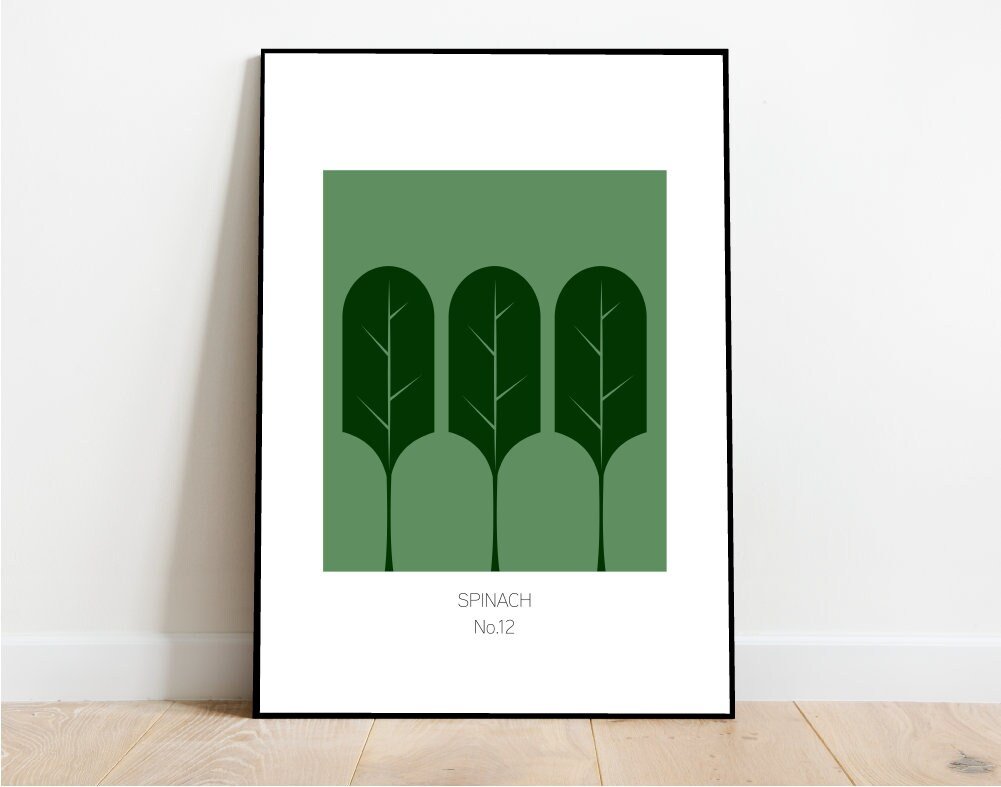 https://i.etsystatic.com/19346590/r/il/638f20/3393965223/il_fullxfull.3393965223_nopx.jpg