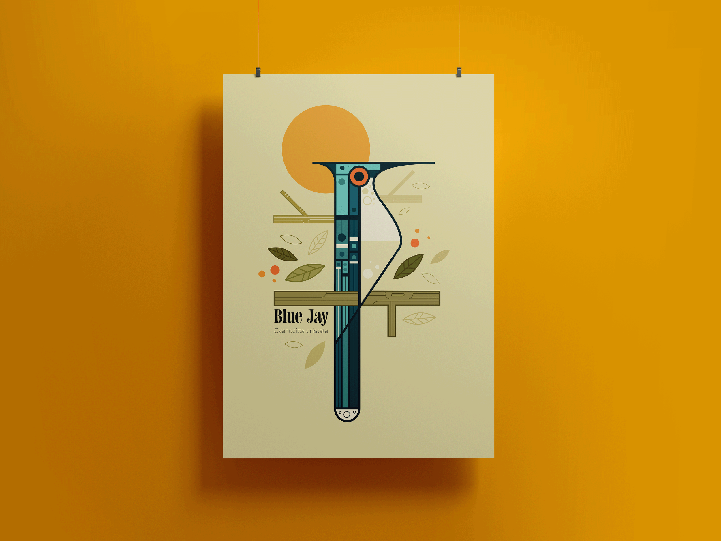 BlueJayMockup1@0.5x.png