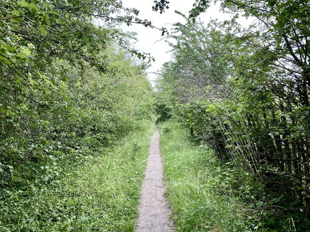 Chipstead15 - Path.jpg