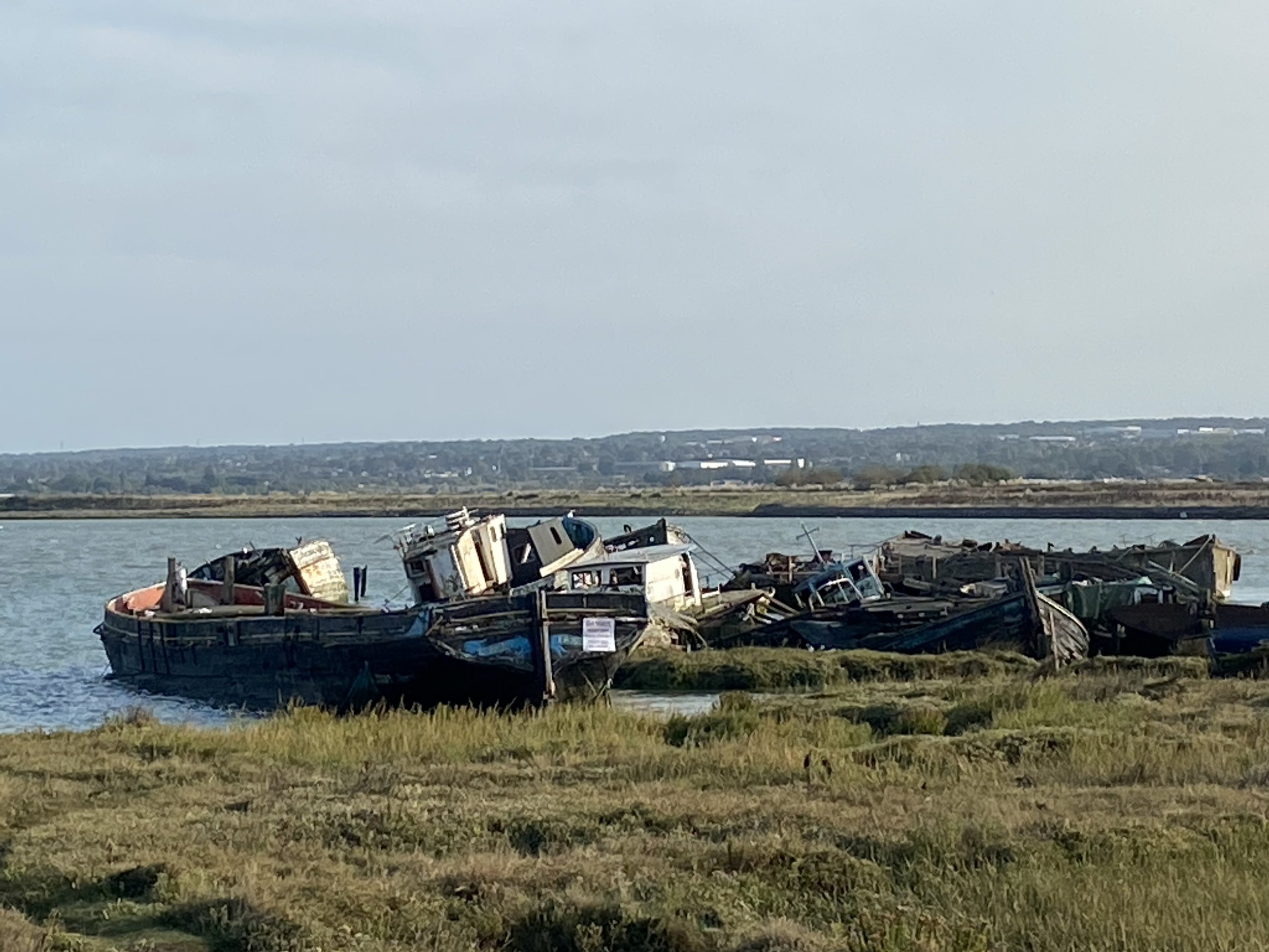 The wreck of the Ena