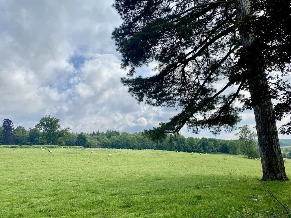 Chipstead26 - crossroads view.jpg