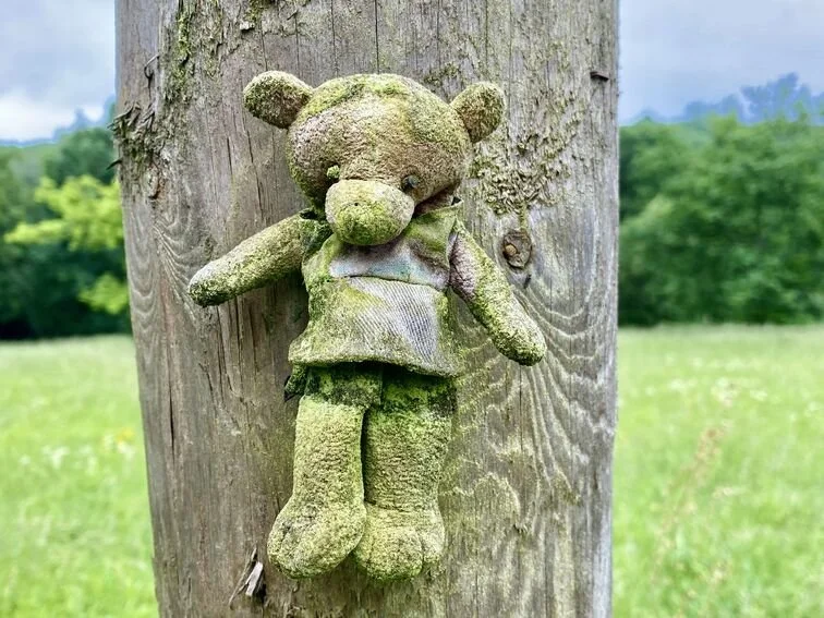 Chipstead05 - abandoned bear.jpg