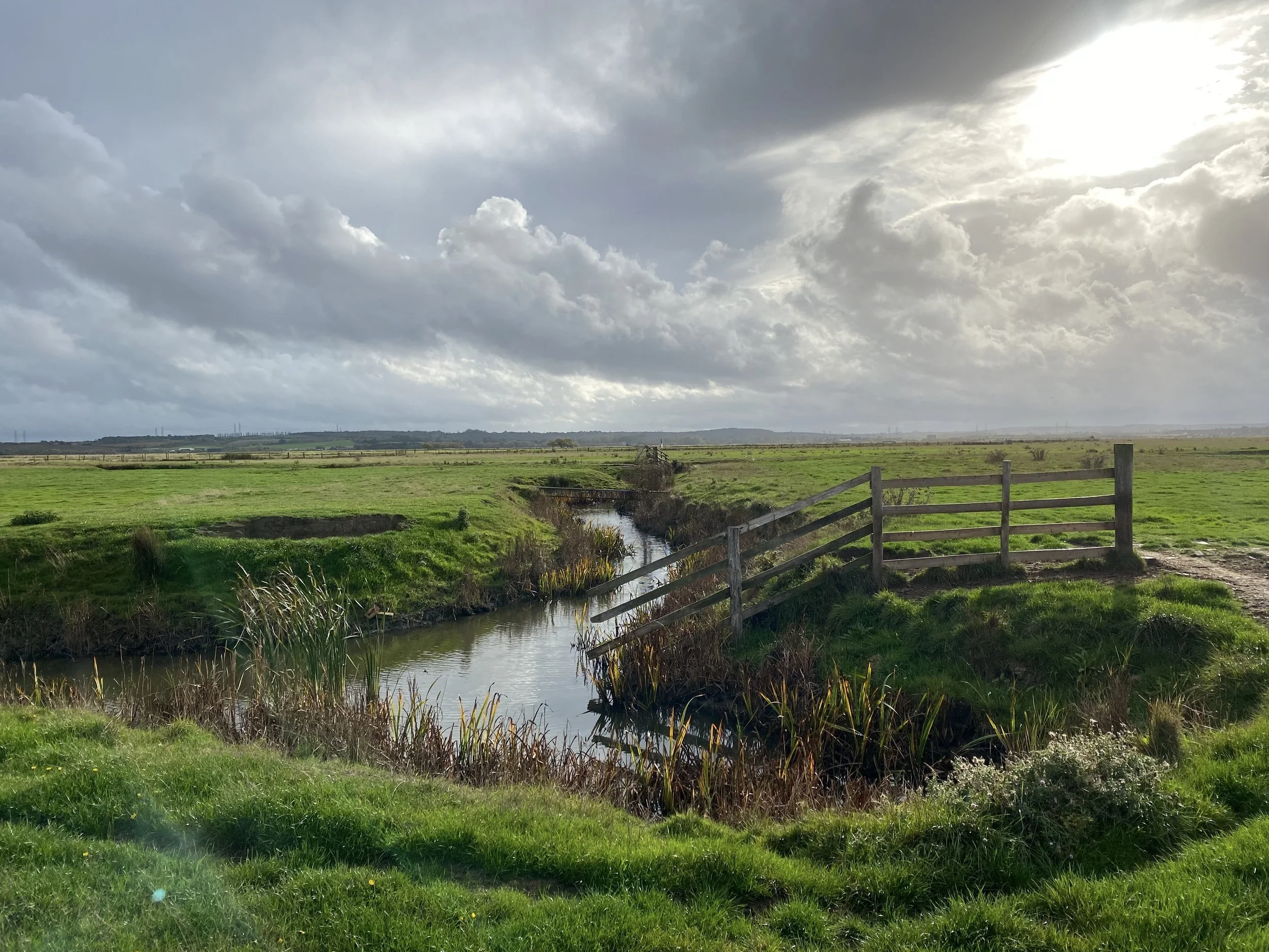 Cooling marshes with the sun breaking through, at the confluence of two of the fleets