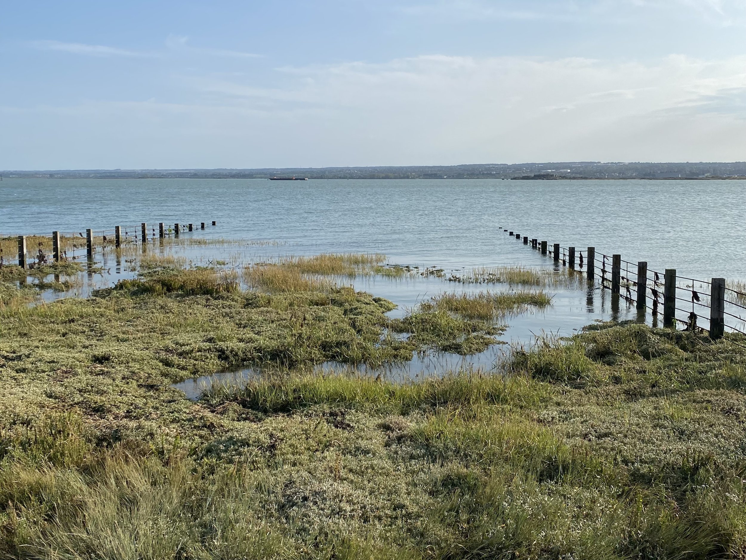 Fences extended into the estuary, Hoo Marshes
