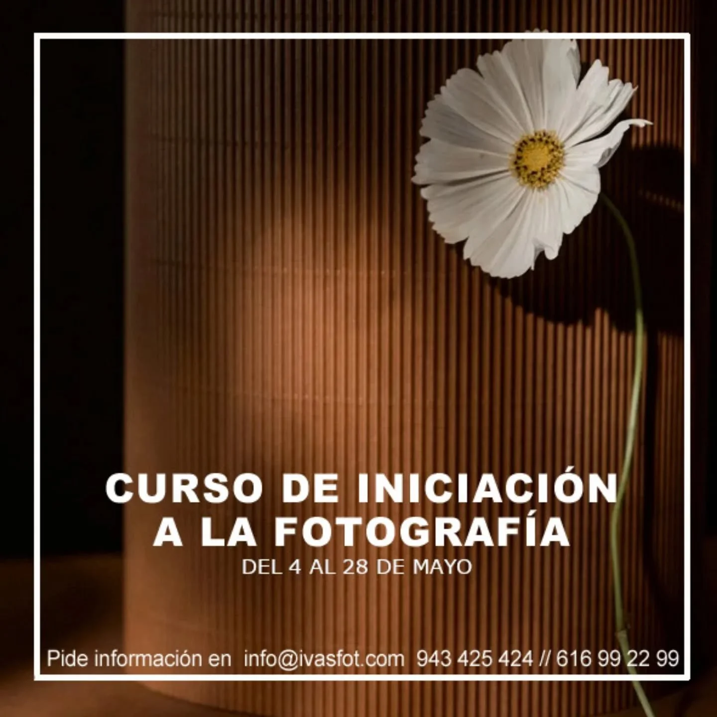 PR&Oacute;XIMO CURSO DE INICIACI&Oacute;N A LA FOTOGRAF&Iacute;A 

DEL 2 AL 28 DE MAYO
LUNES y JUEVES 
18:00-20:00

Si necesitas m&aacute;s informaci&oacute;n o quieres reservar una plaza contacta con nosotros.
👇👇👇👇👇👇👇👇

☎️ 943 425 424
📧 inf