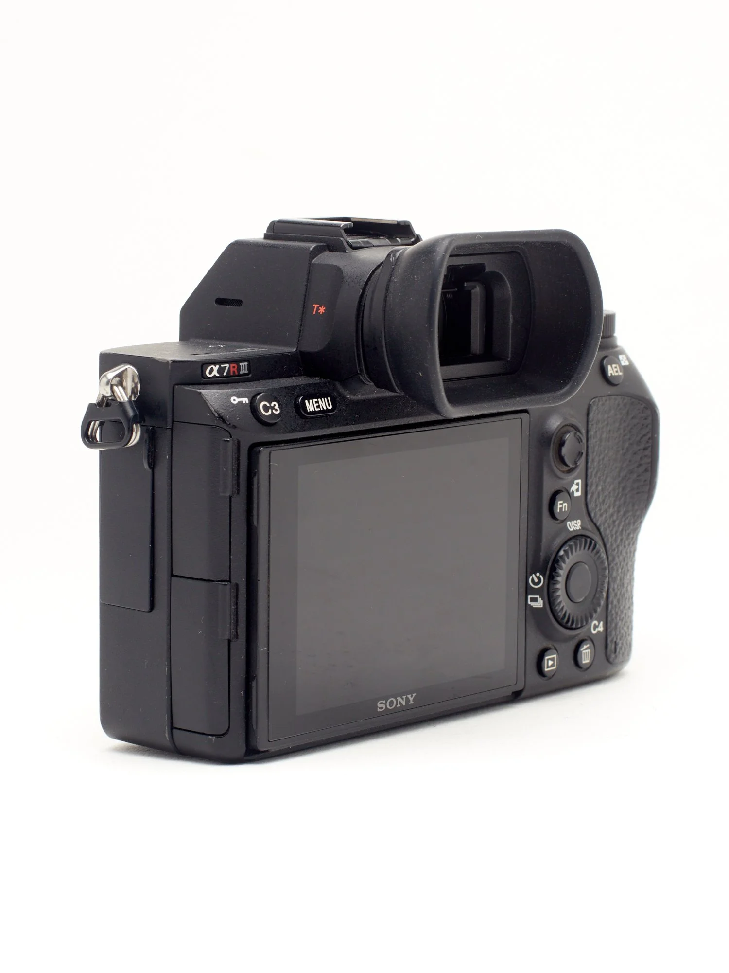 SONY 7R RIC 2.jpg