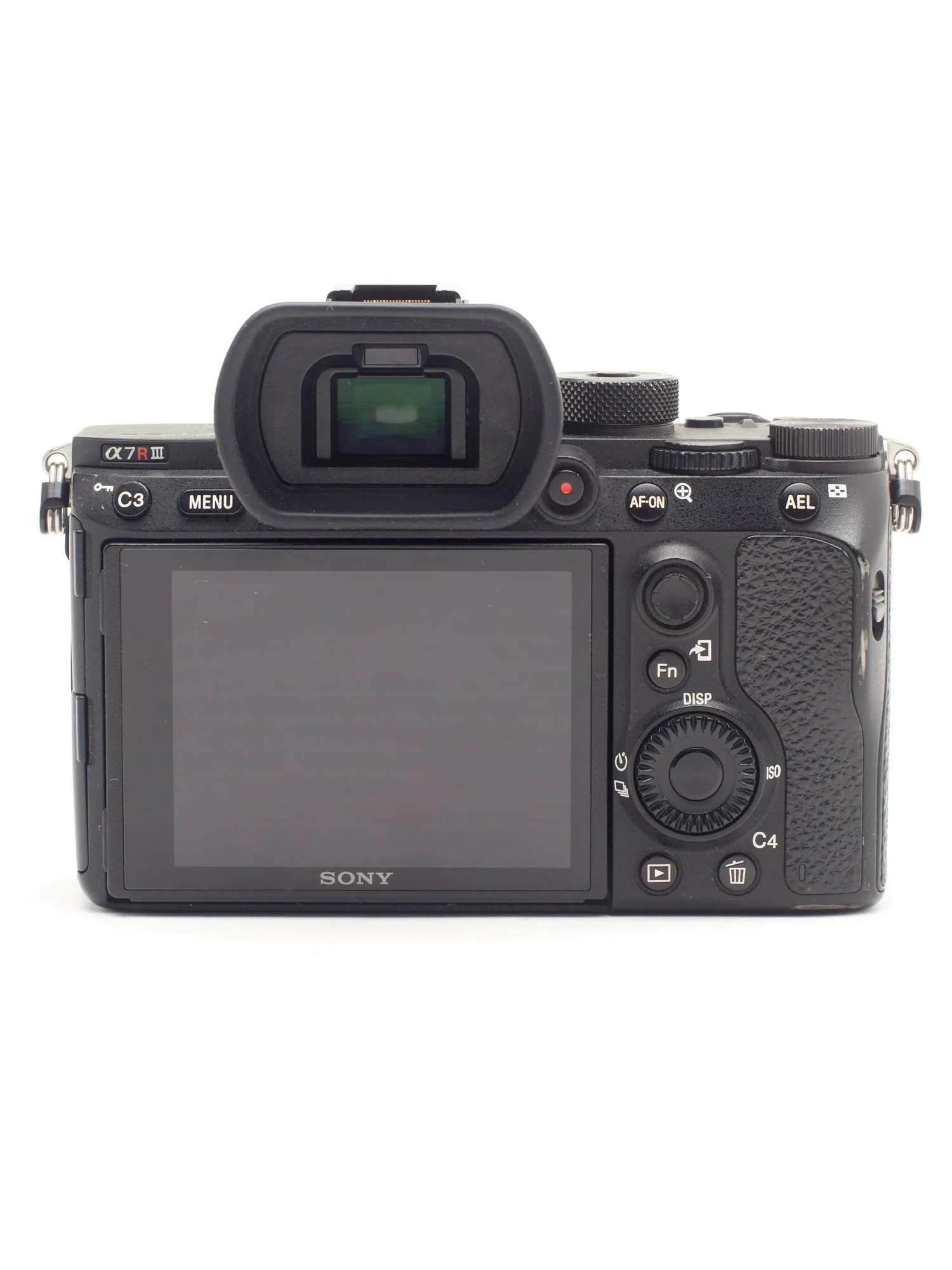 SONY 7R RIC 3.jpg