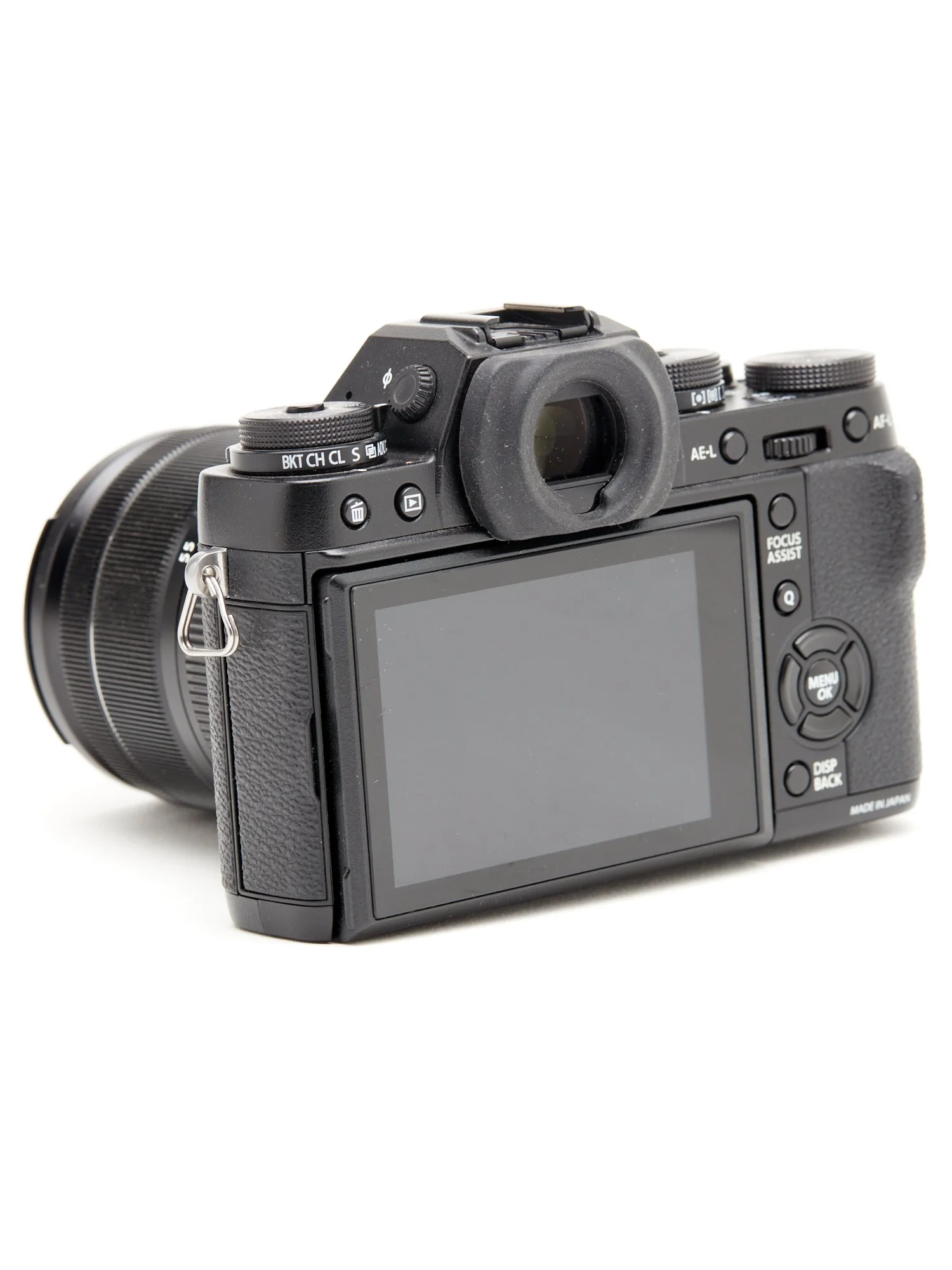 FUJI XT1 2.jpg