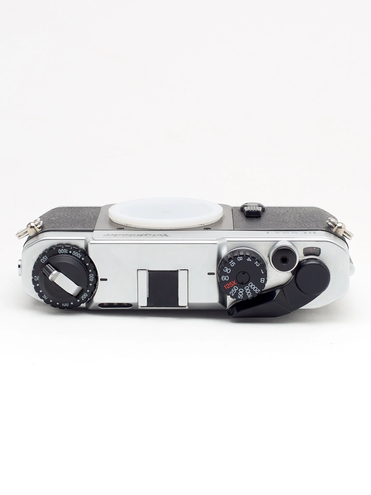 BESSA-L 8.jpg