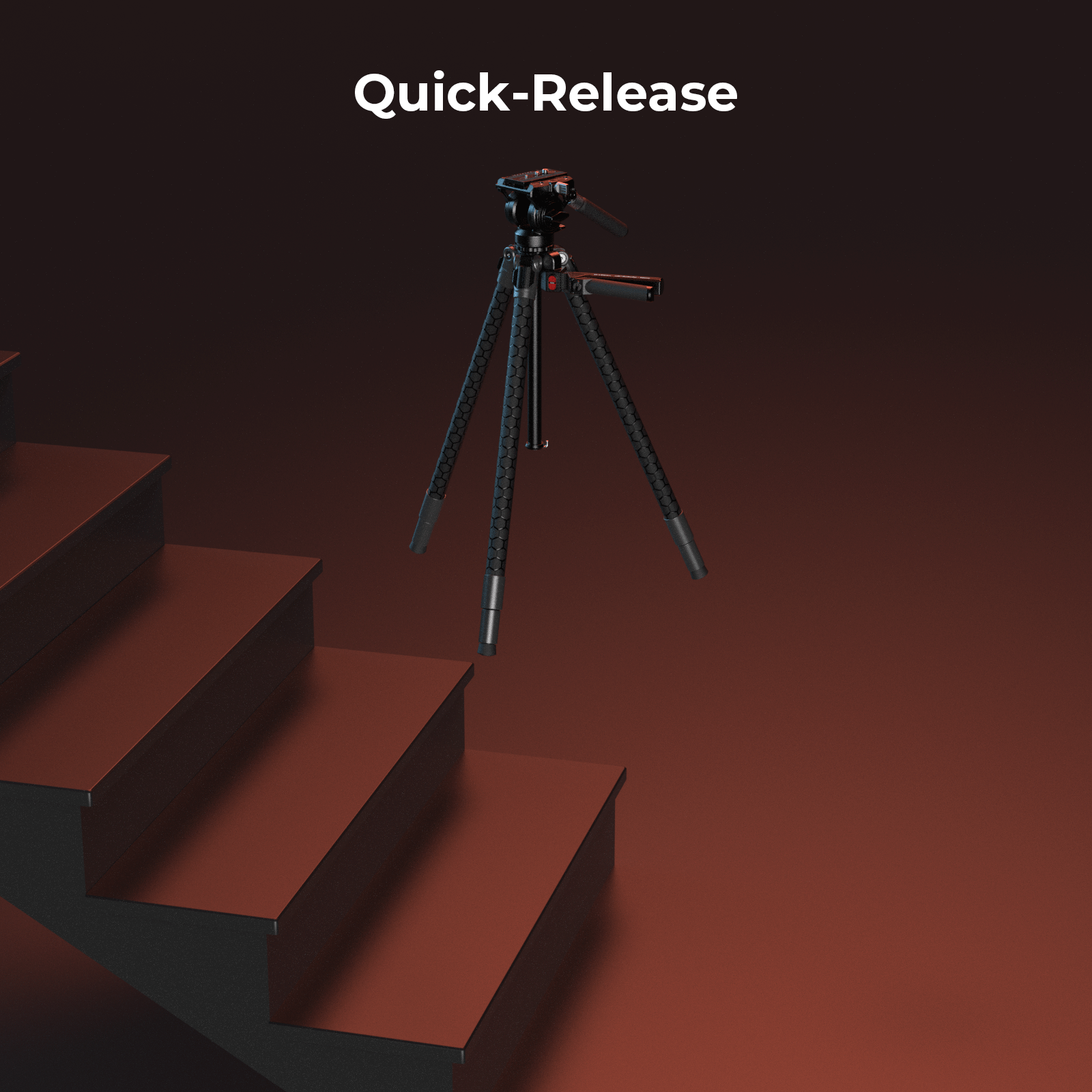 11.gif