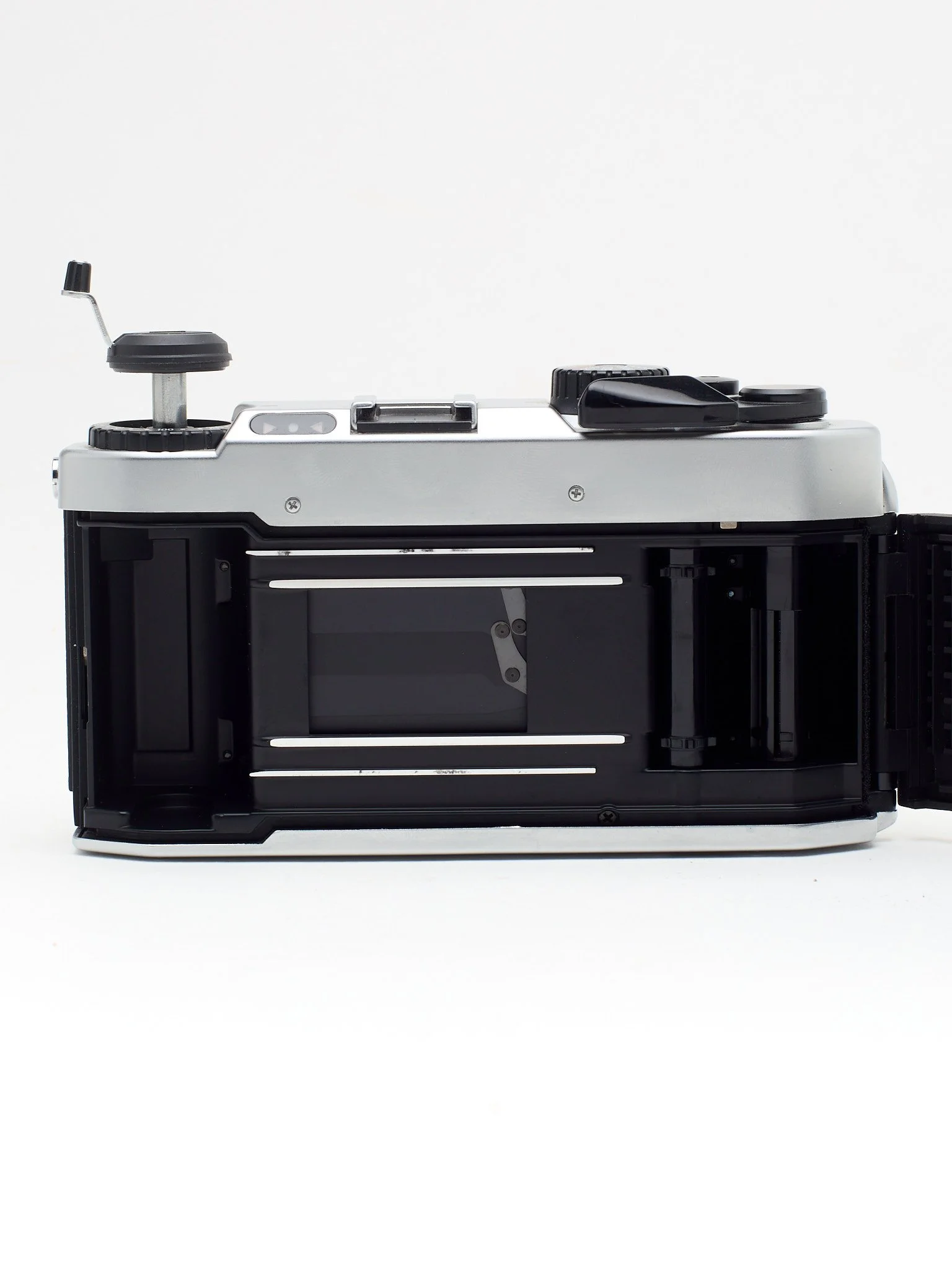 BESSA-L 6.jpg