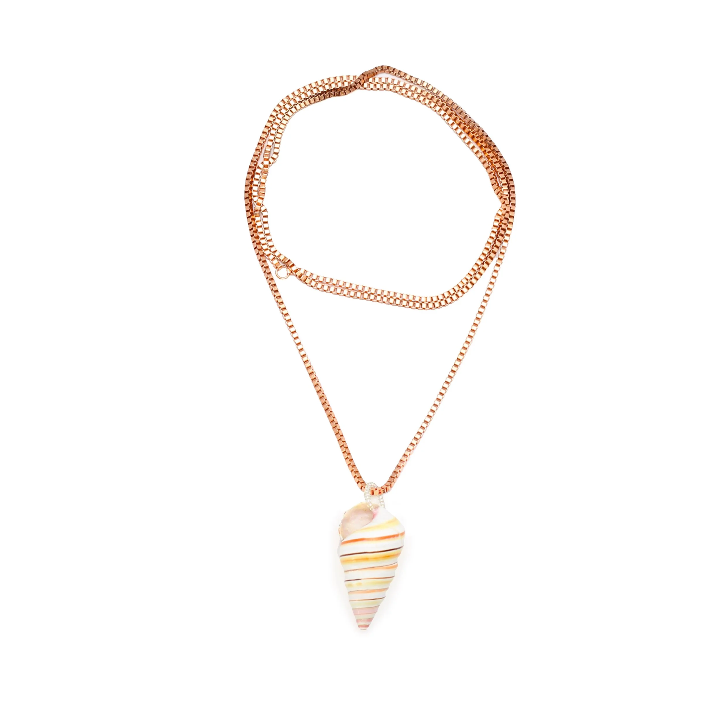 copper shell.jpg