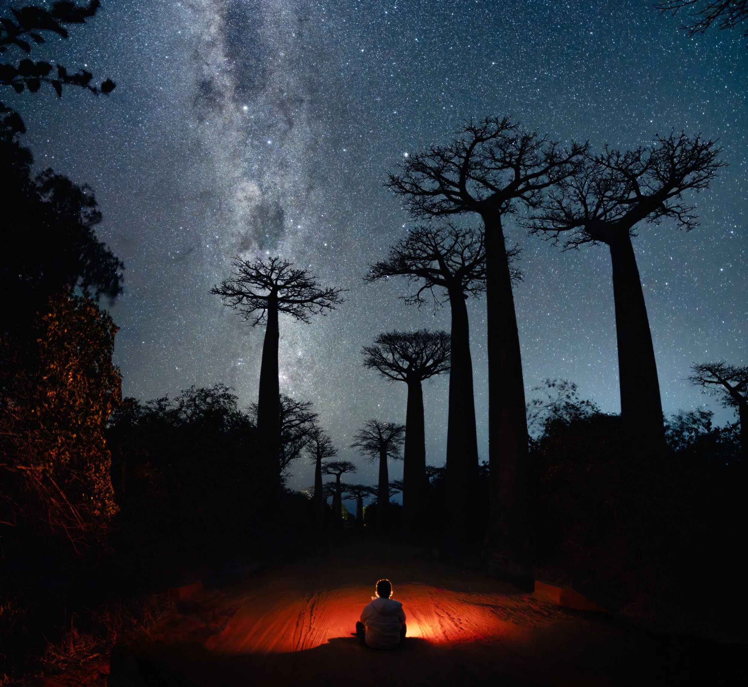 Madagascar Night.jpg