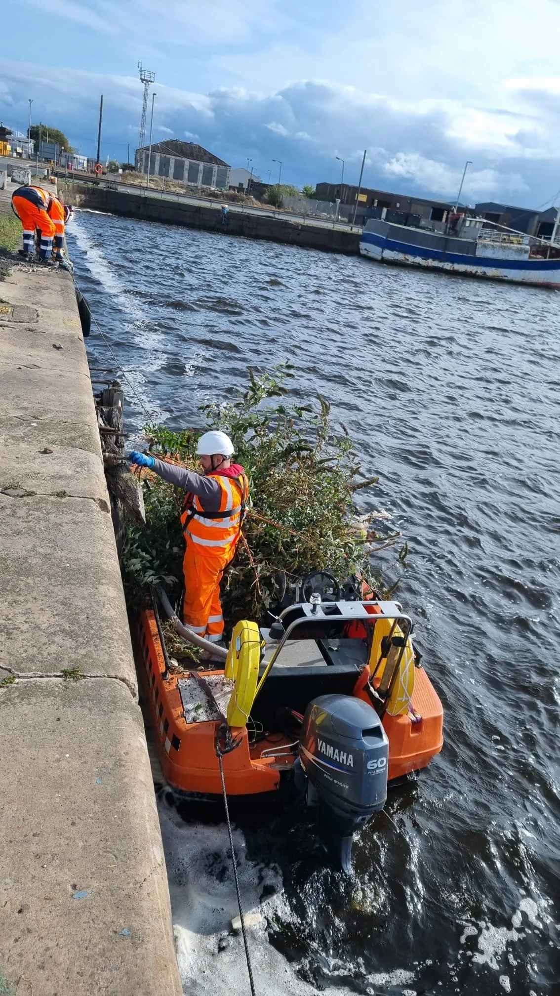 WhatsApp Image 2023-10-03 at 17.59.50.jpeg