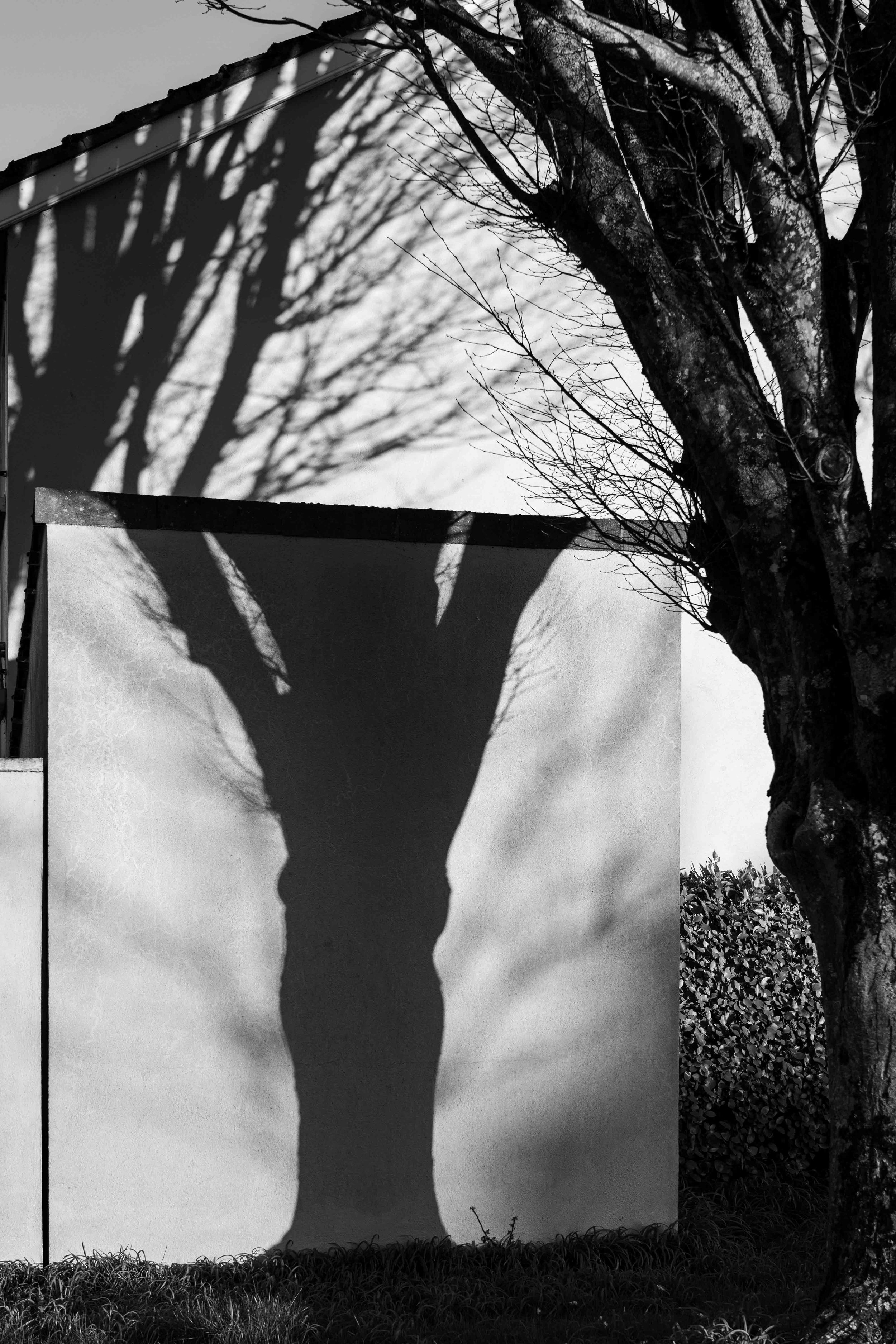 Michel Colaci Photography Shapes-4.jpg