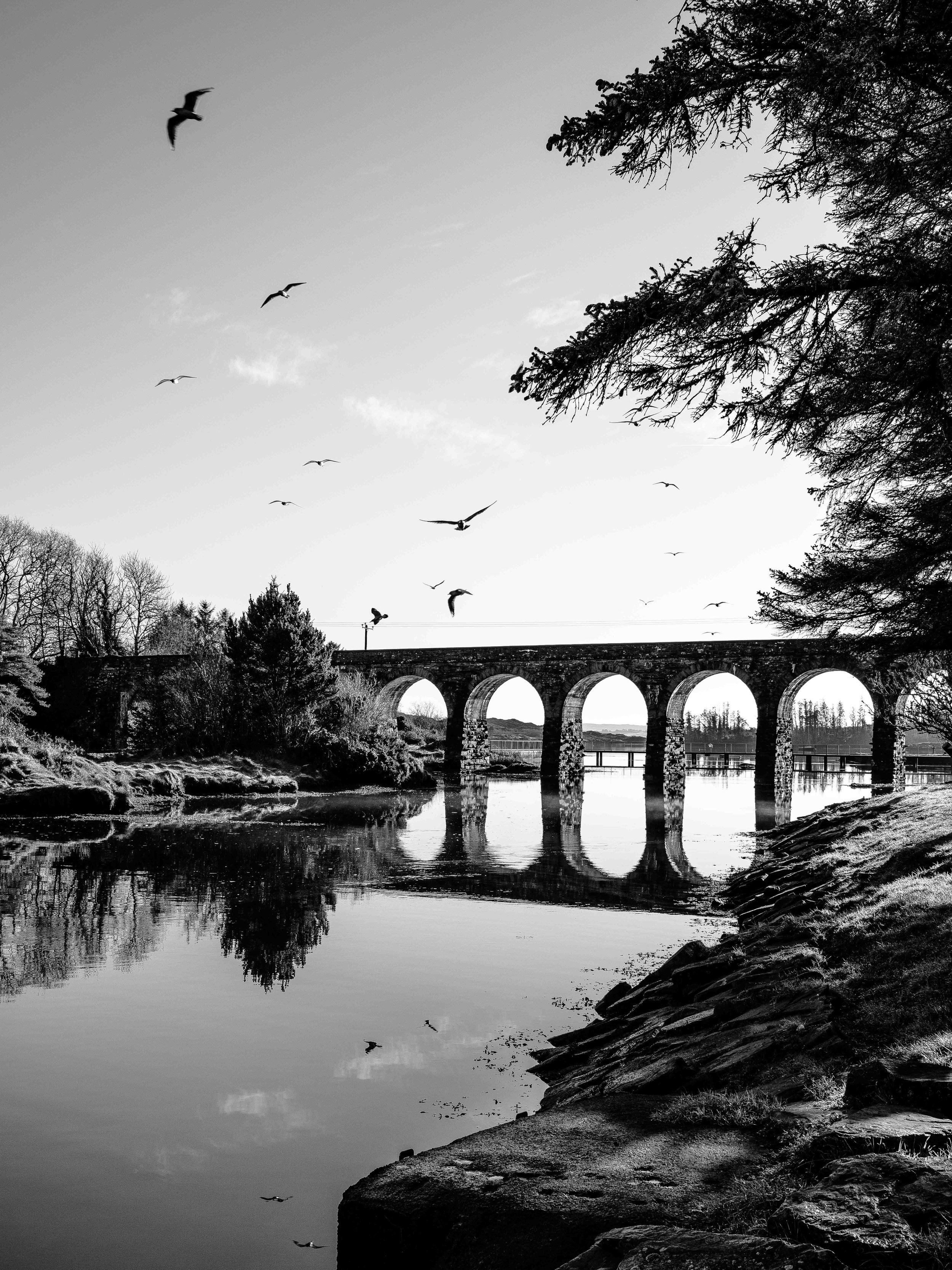 Michel Colaci Photography Land-1.jpg