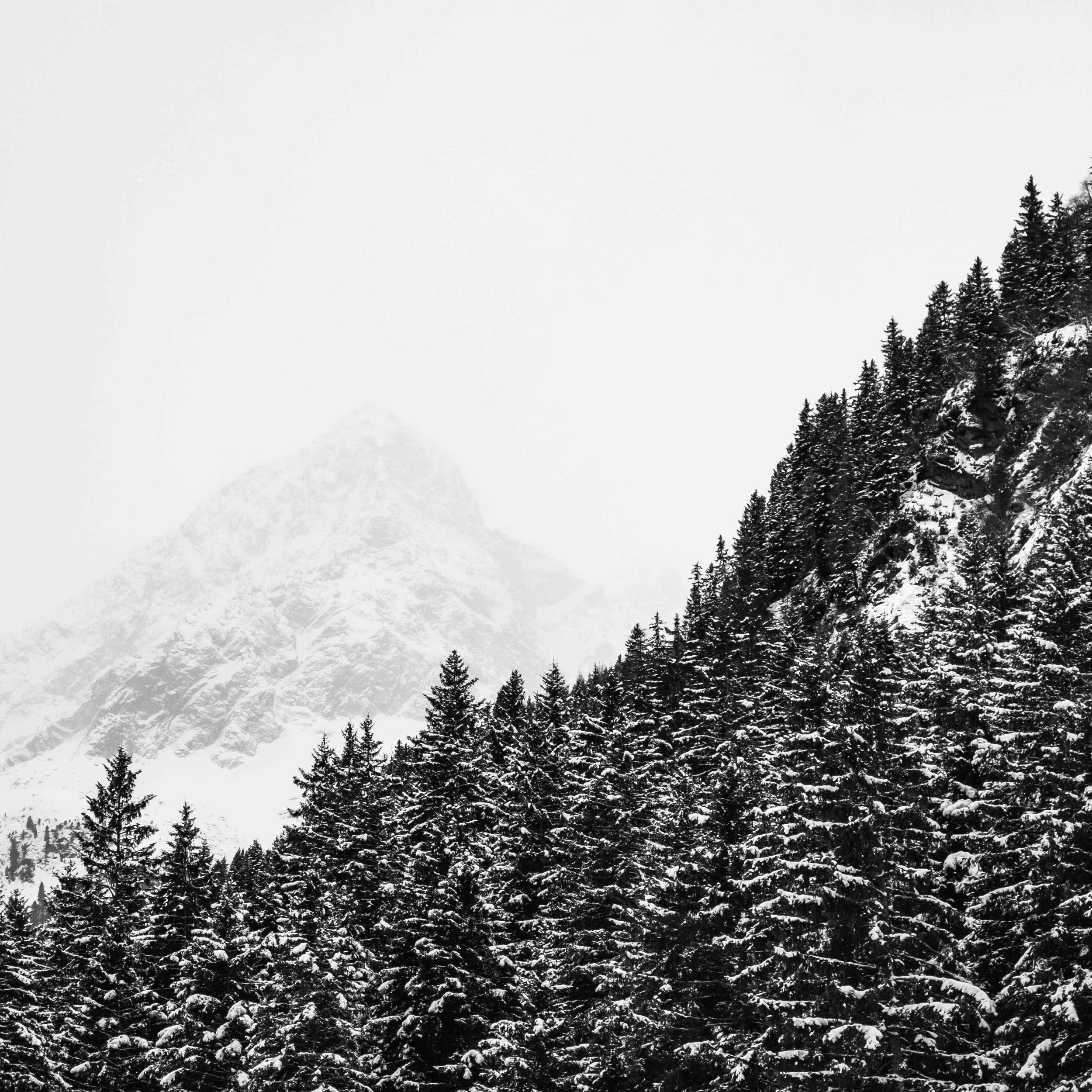 Michel Colaci Photography Snow-11.jpg