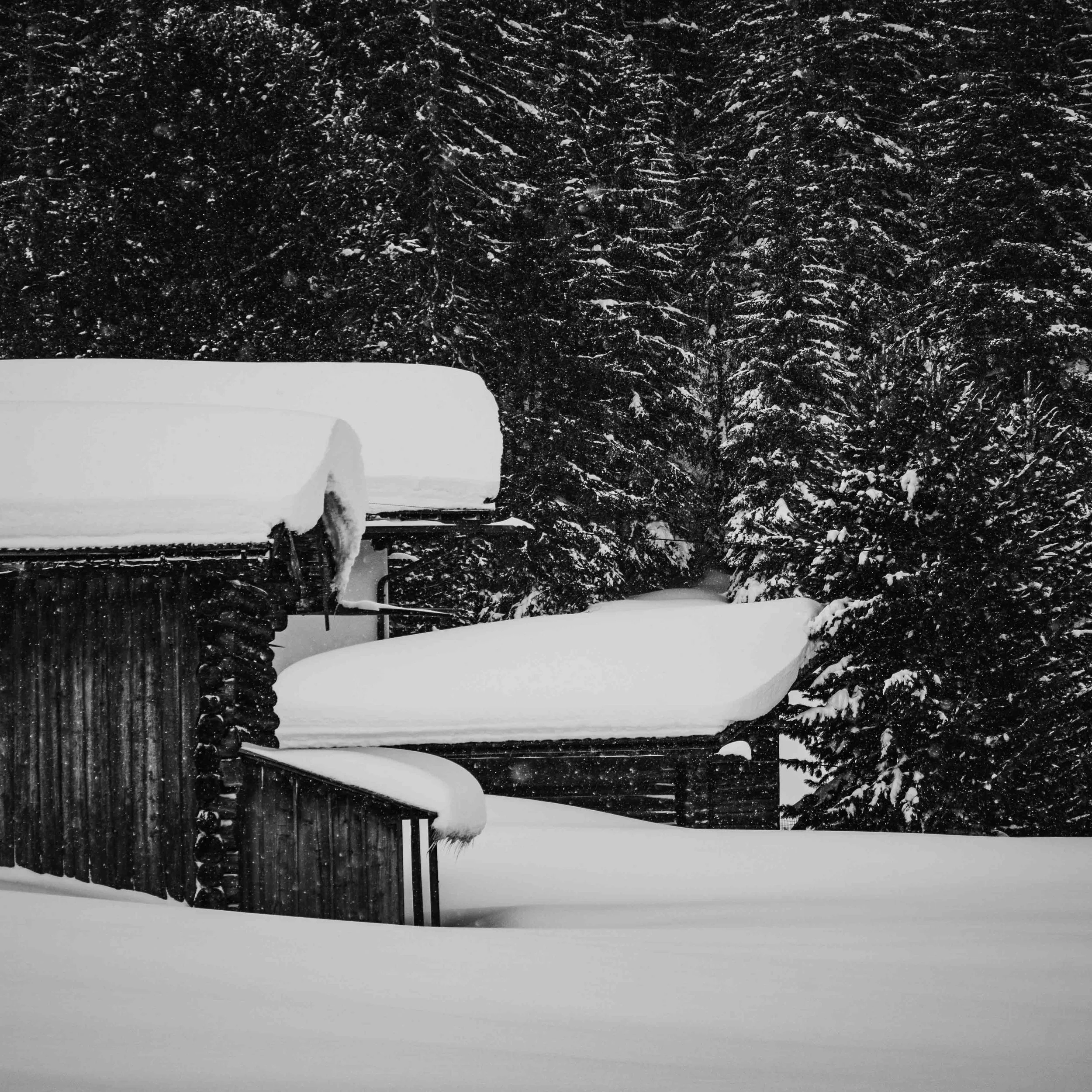 Michel Colaci Photography Snow-2.jpg