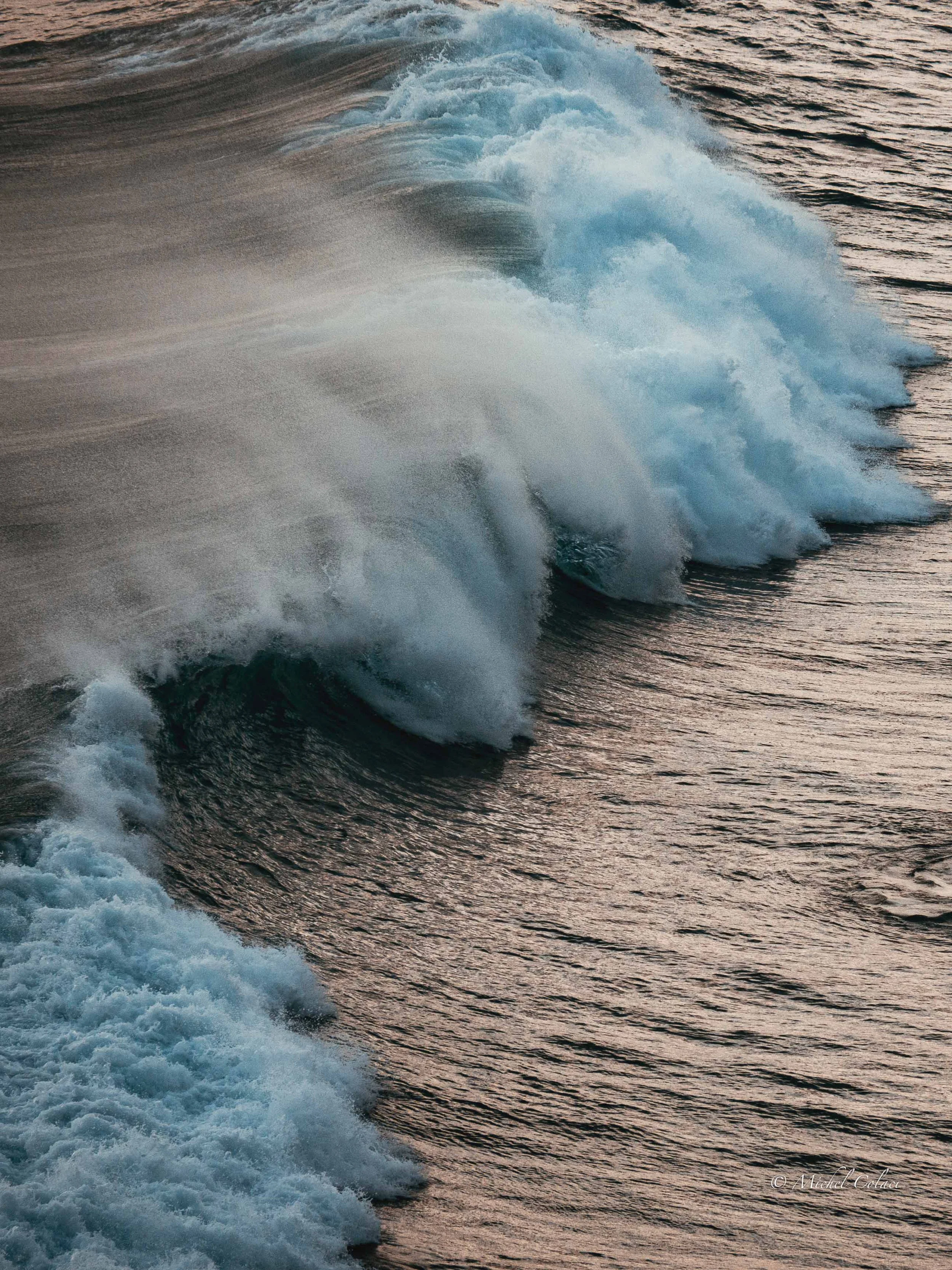 Tonnta Michel Colaci Photography.jpg