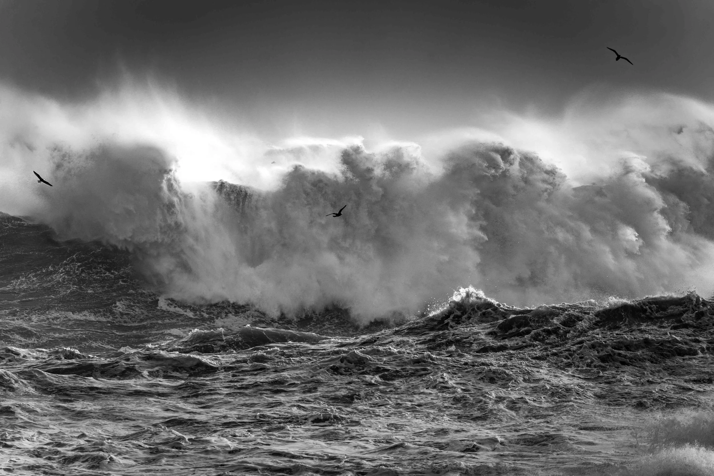 Michel Colaci Photography Surge-8.jpg