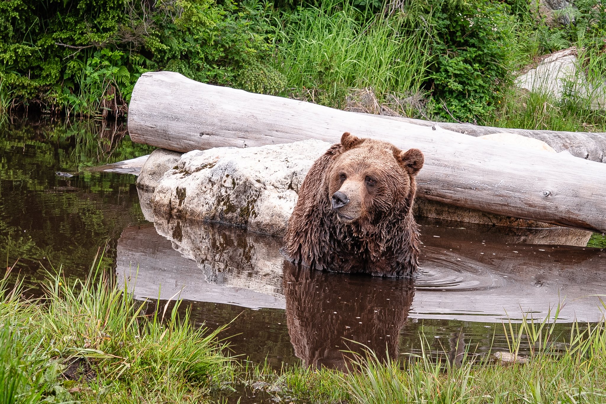 Michel Colaci Photography Travel Diary BC Canada June 2026-23.jpg