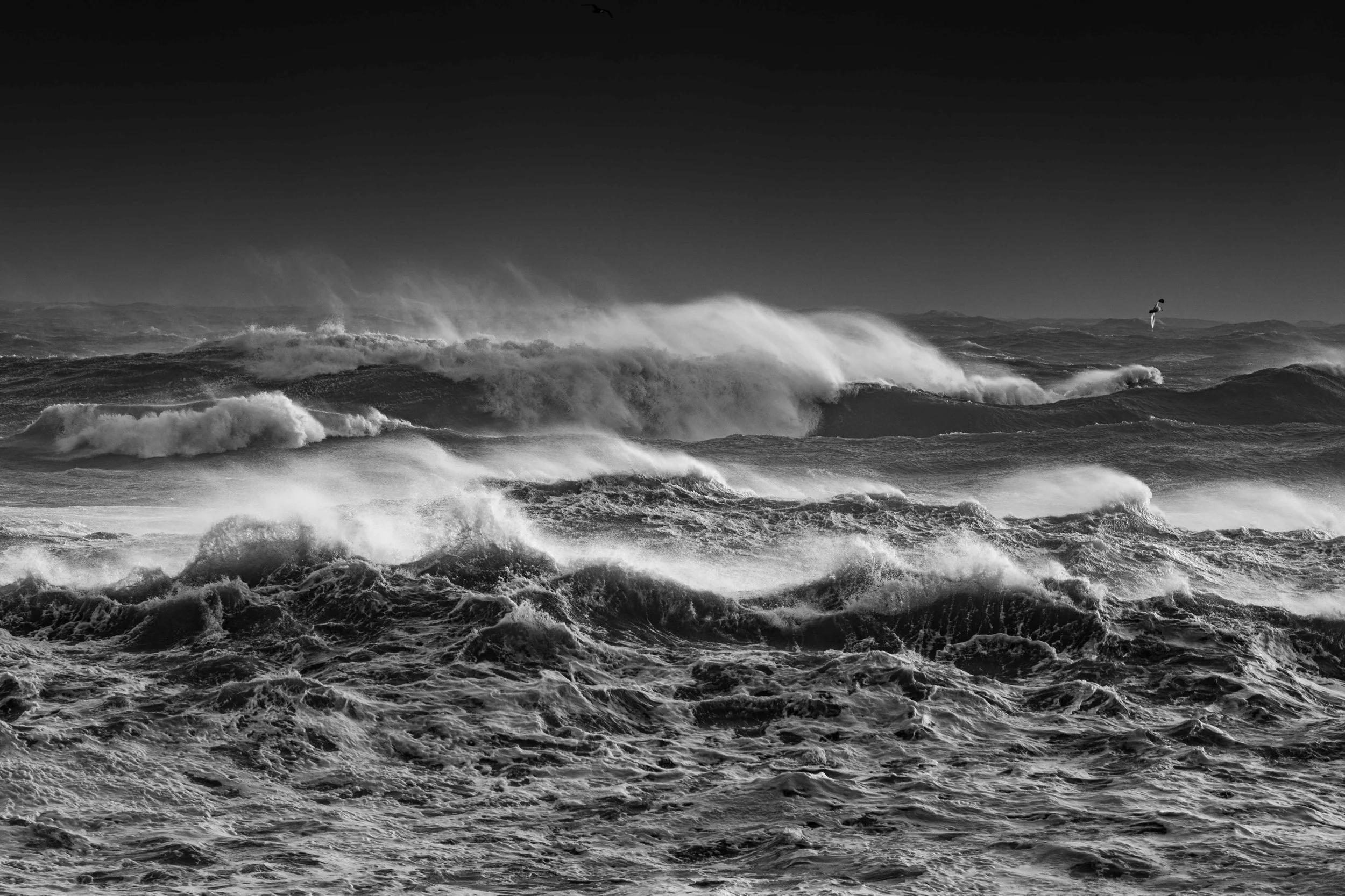 Michel Colaci Photography Surge-2.jpg
