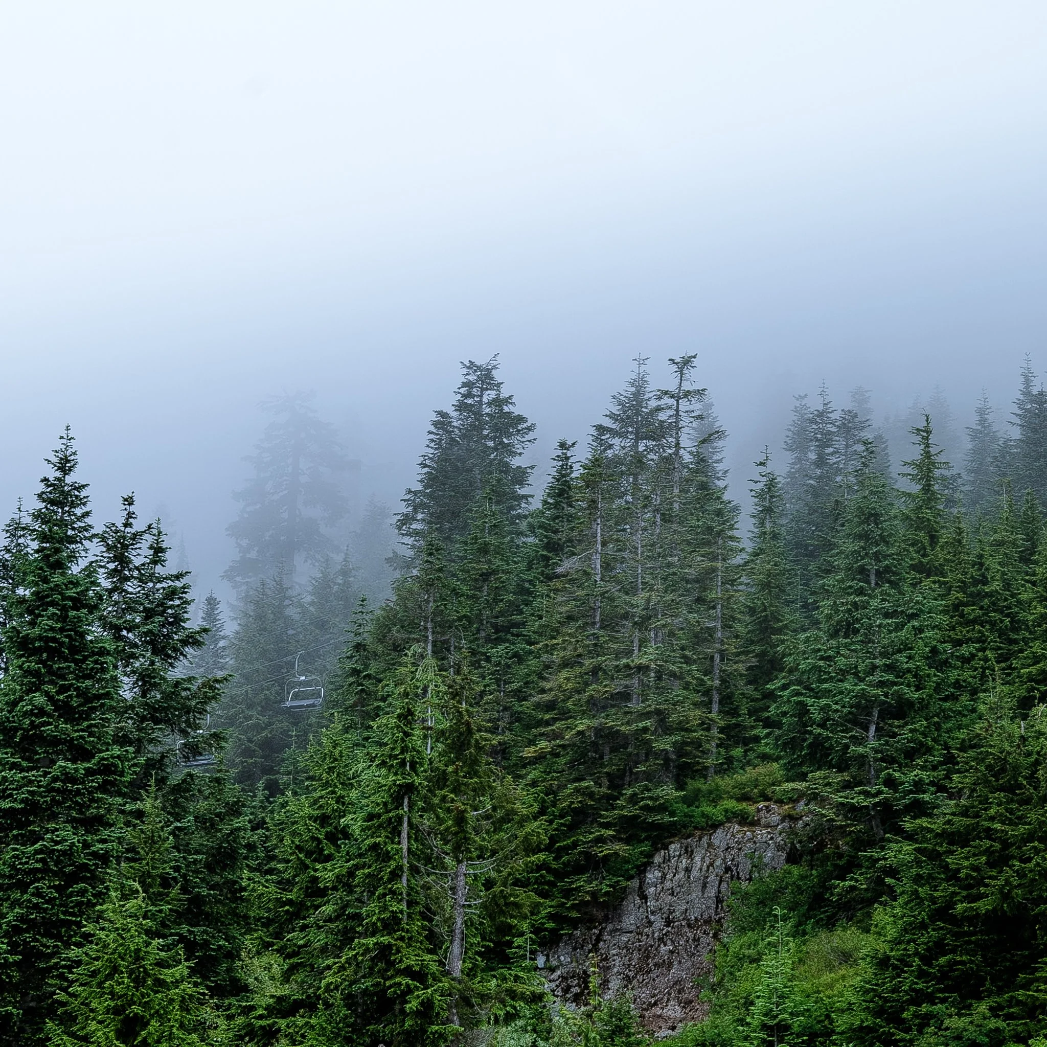 Michel Colaci Photography Travel Diary BC Canada June 2026-22.jpg