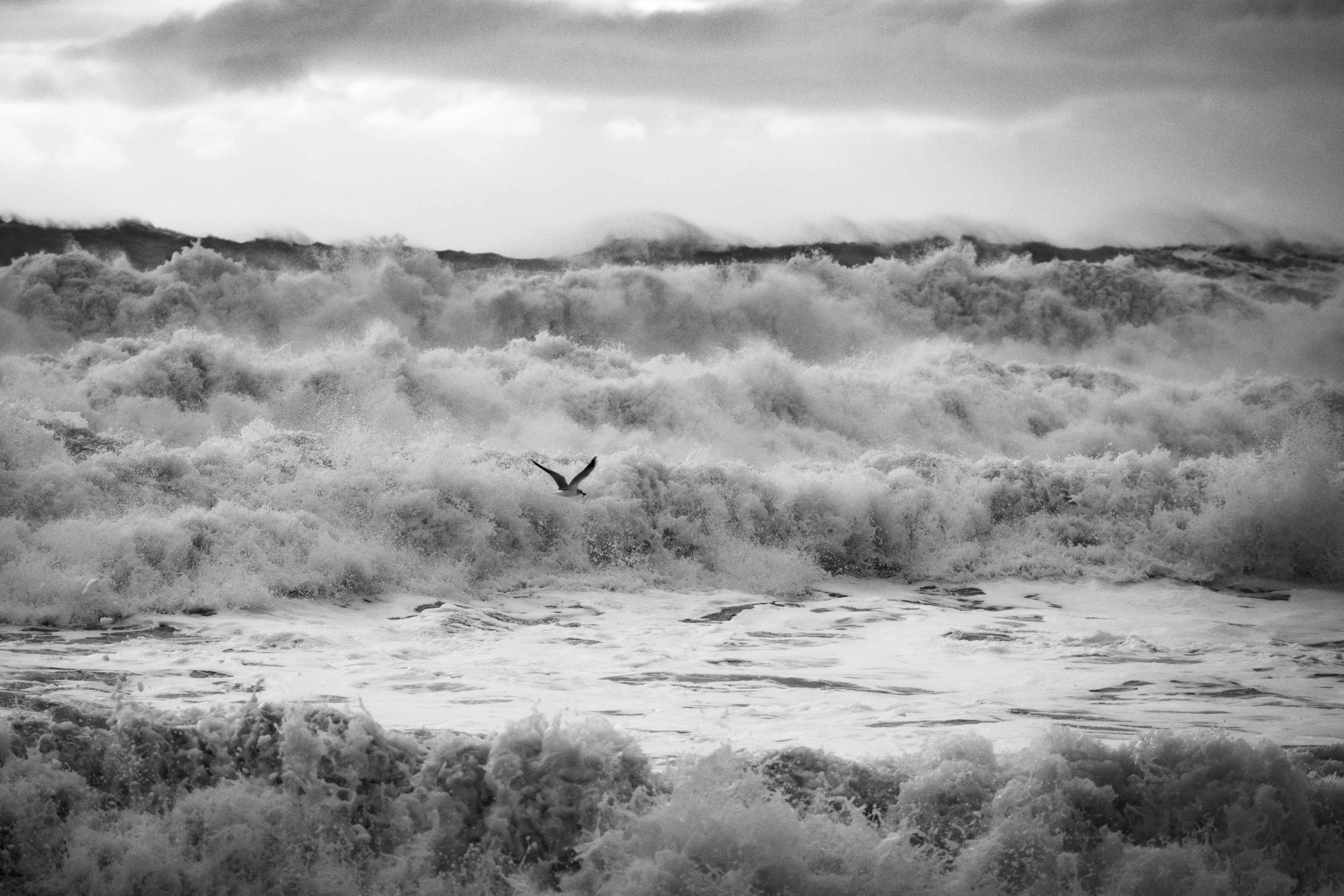 Michel Colaci Photography Surge-1.jpg