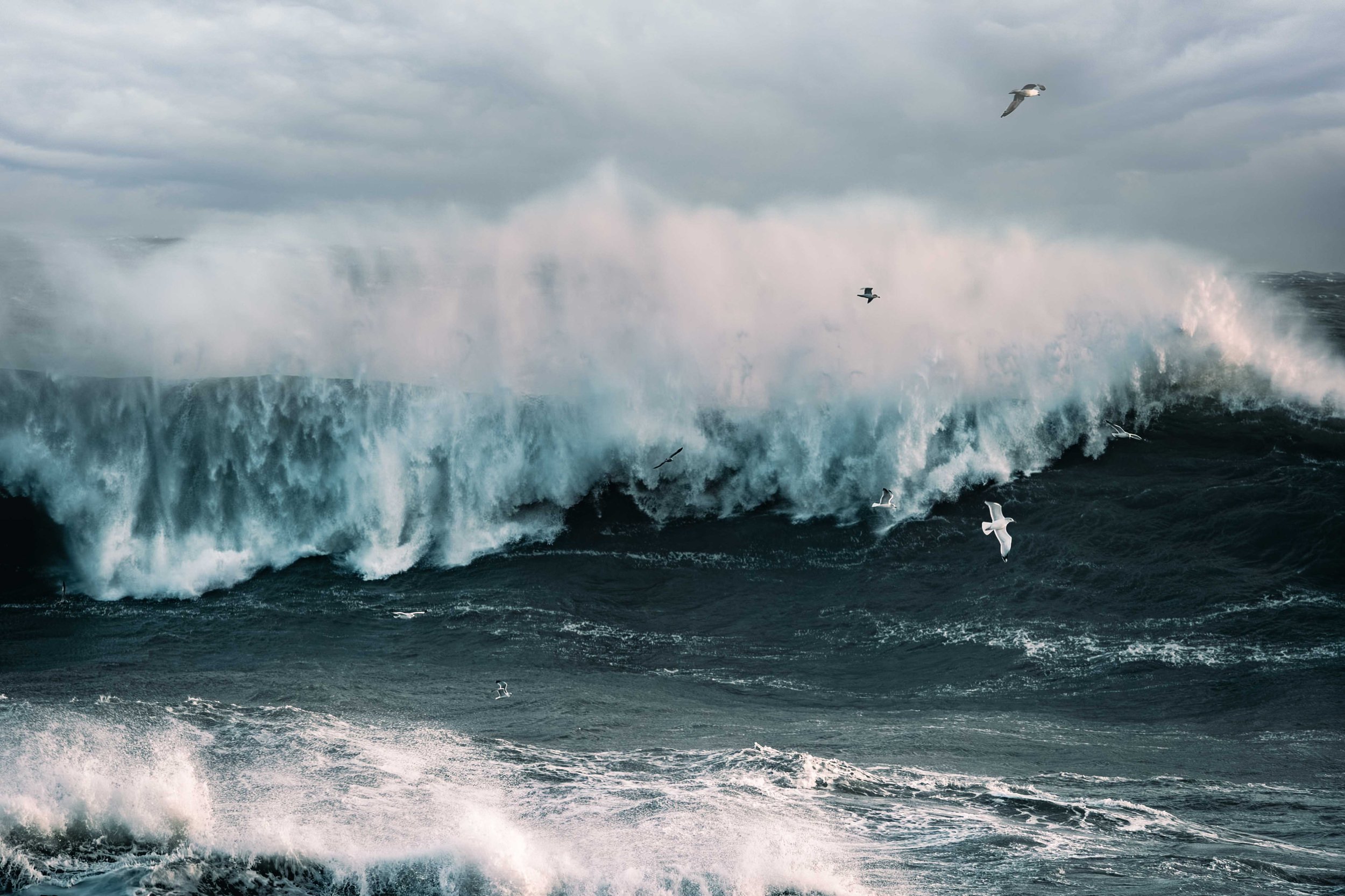 Michel Colaci Photography Surge-11.jpg