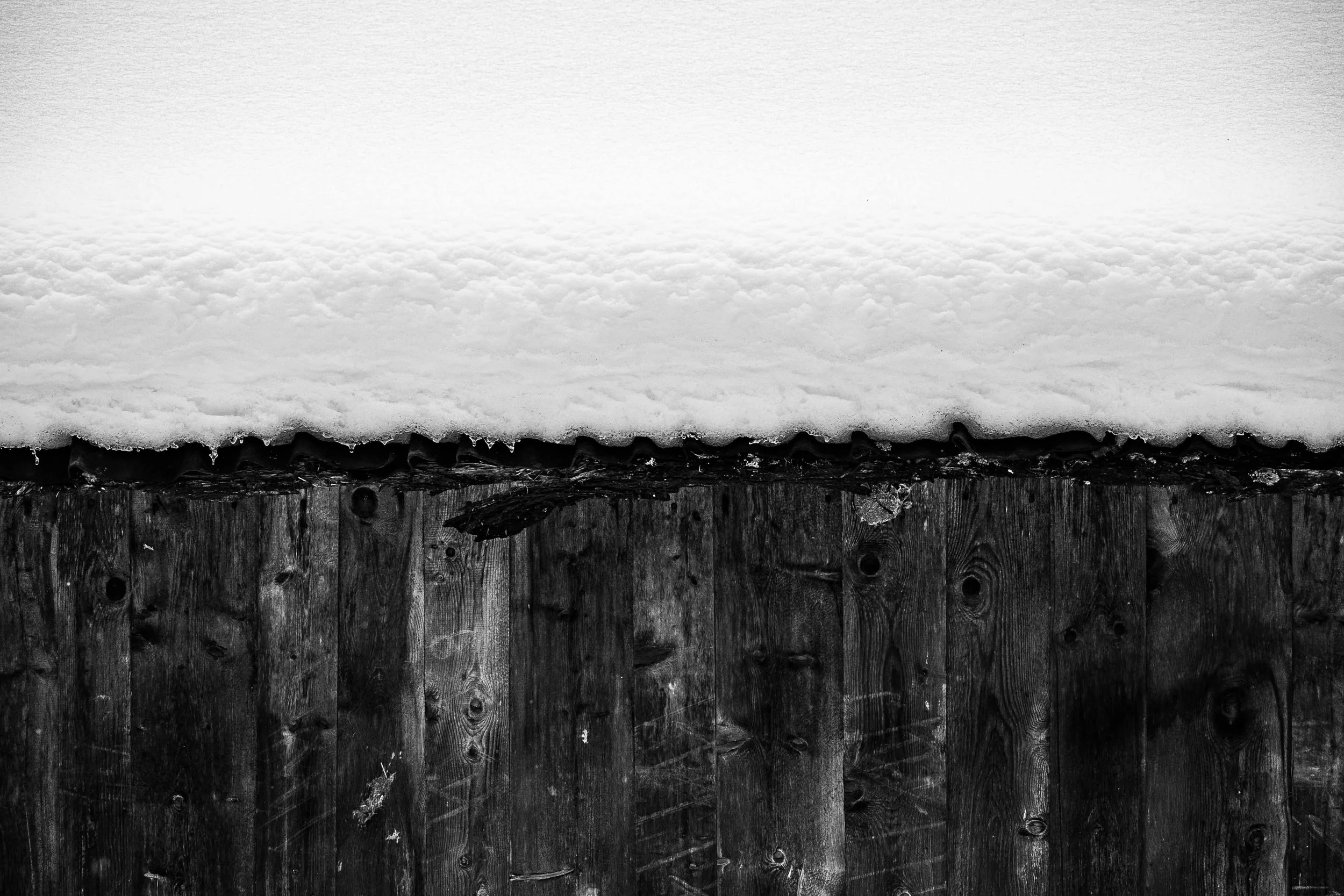 Michel Colaci Photography Snow-24.jpg