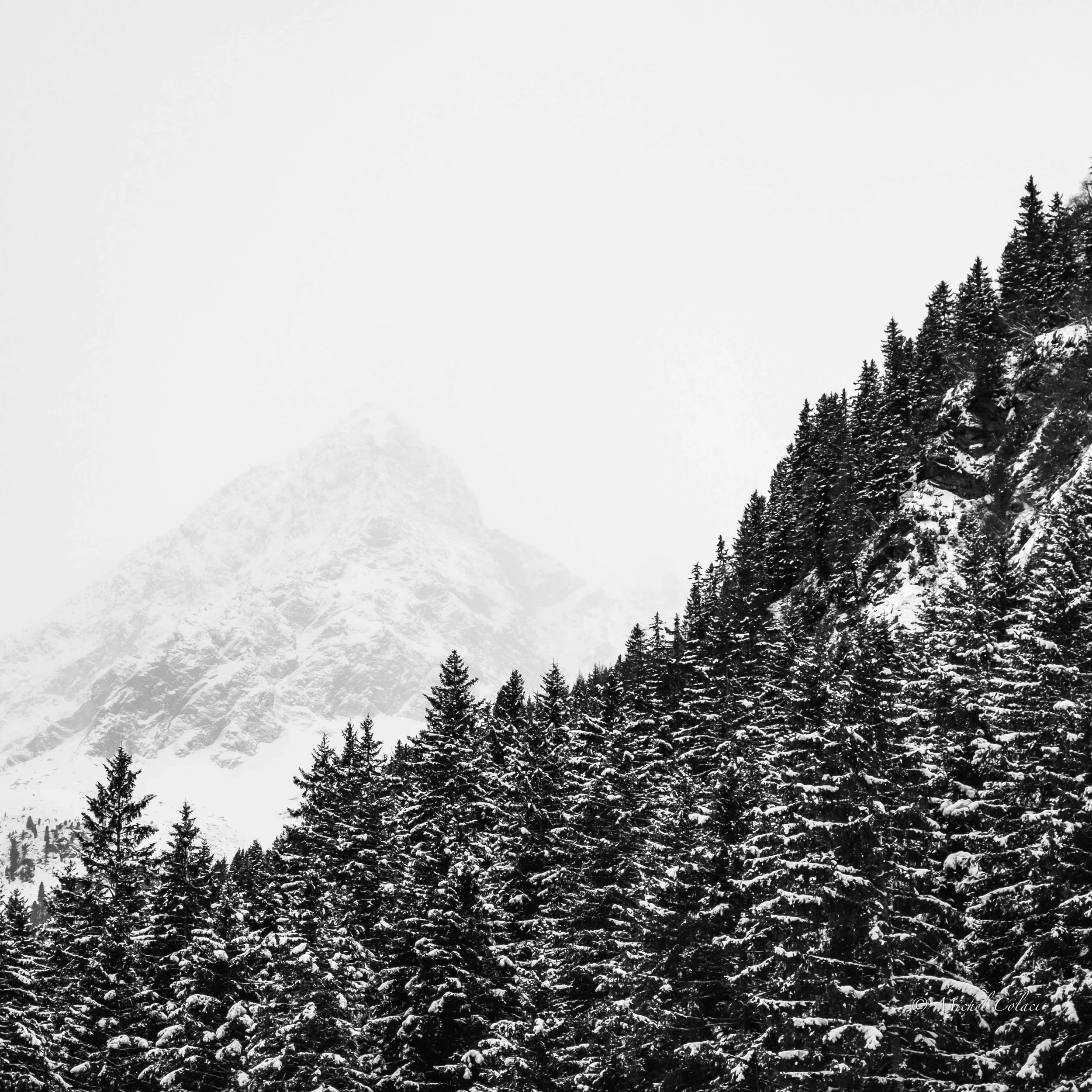 Cloudy Peak - Pitztal Glacier January 2026