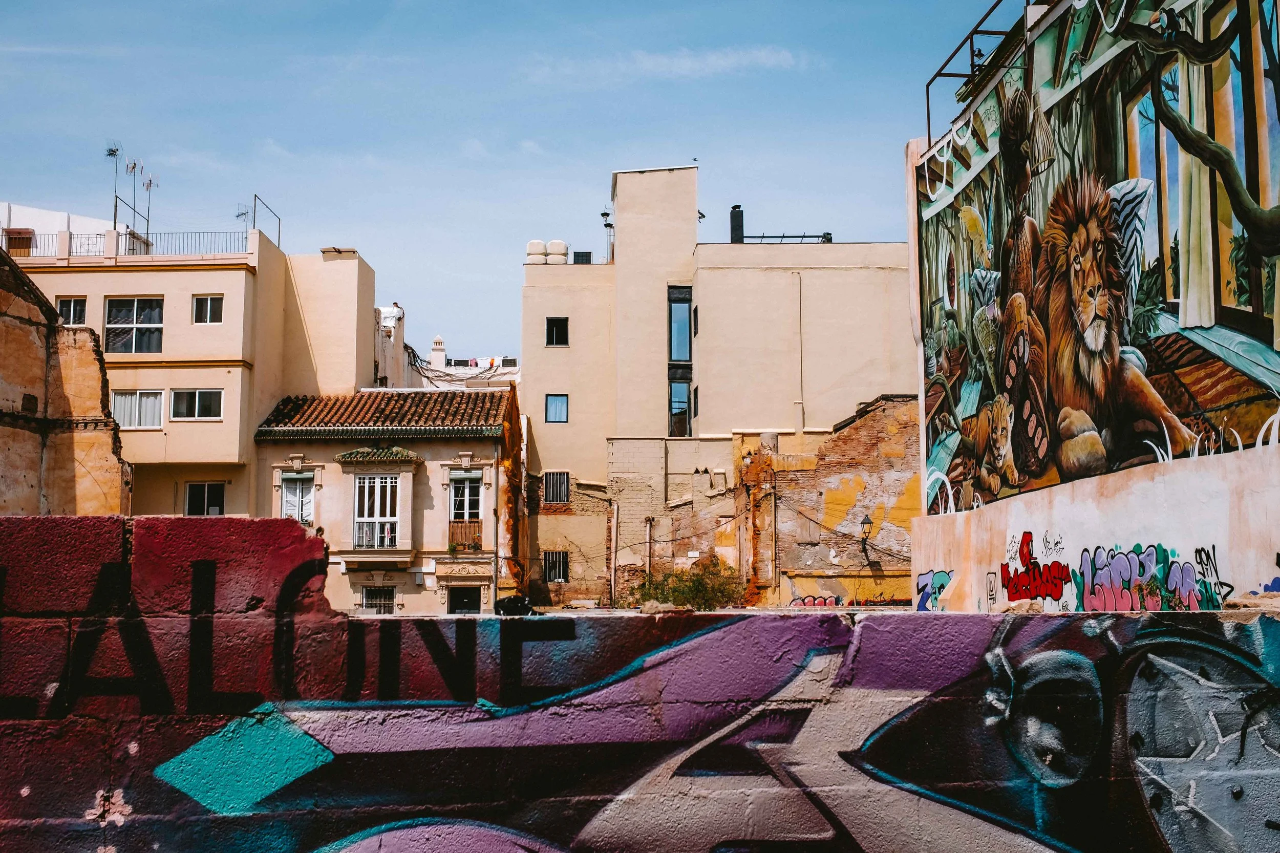 Michel Colaci Photography Shapes-3.jpg