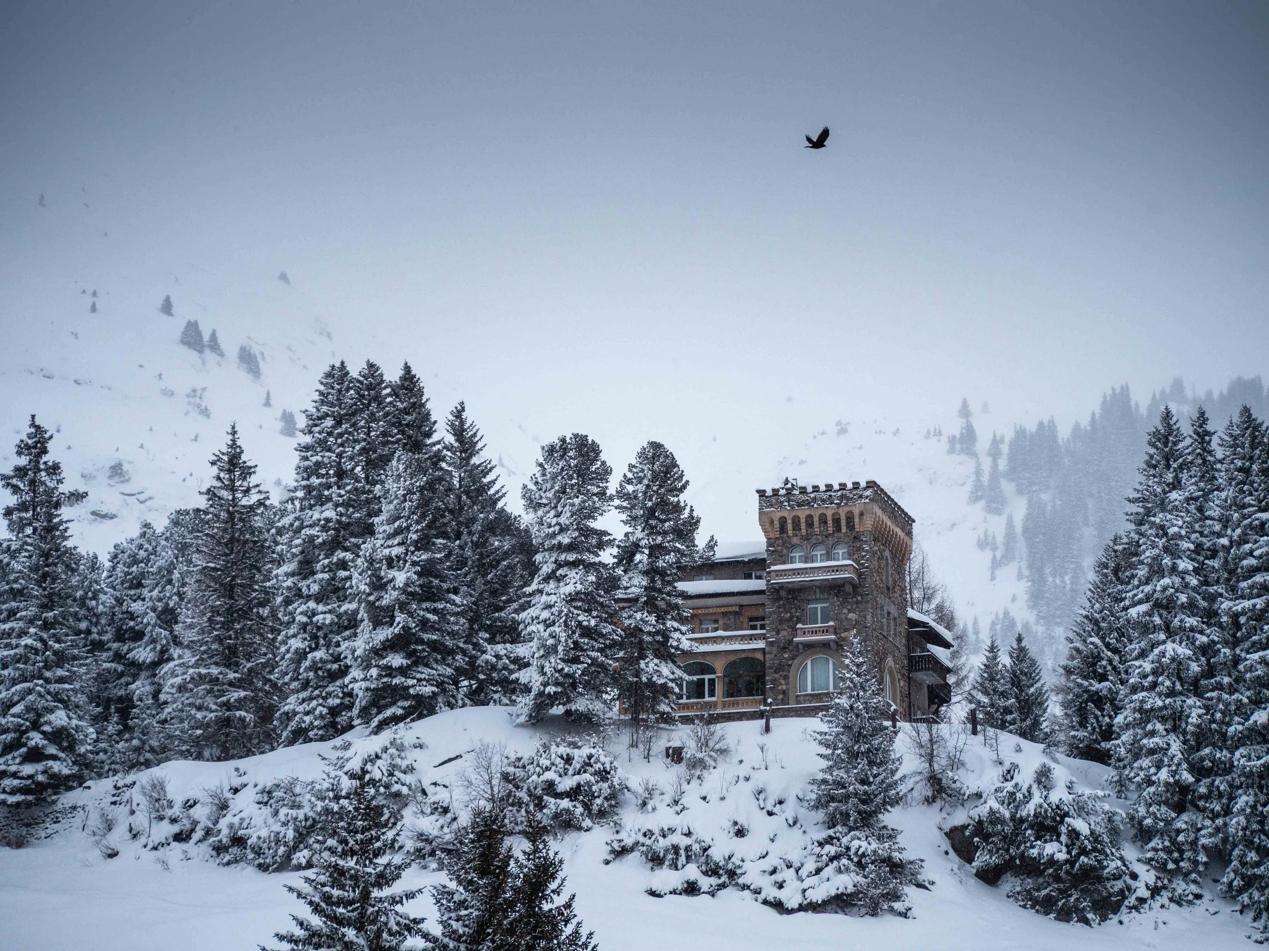 Michel Colaci Photography Snow-1.jpg